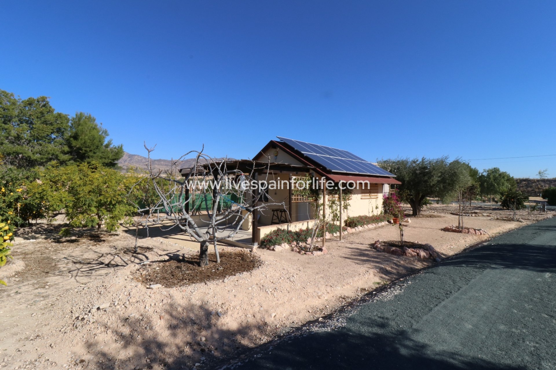 Reventa - Country house -
Albatera