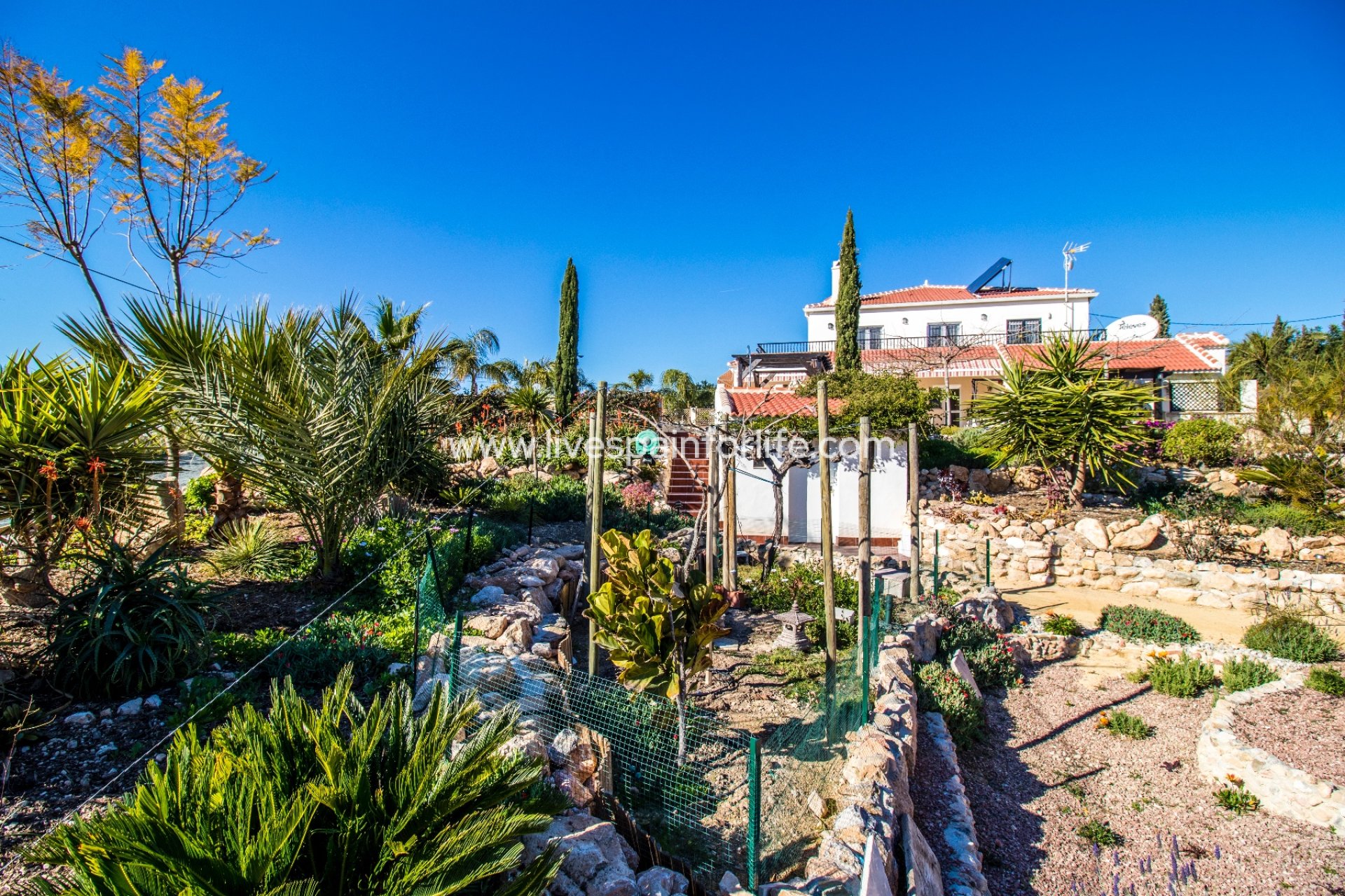 Reventa - Country house -
Albatera