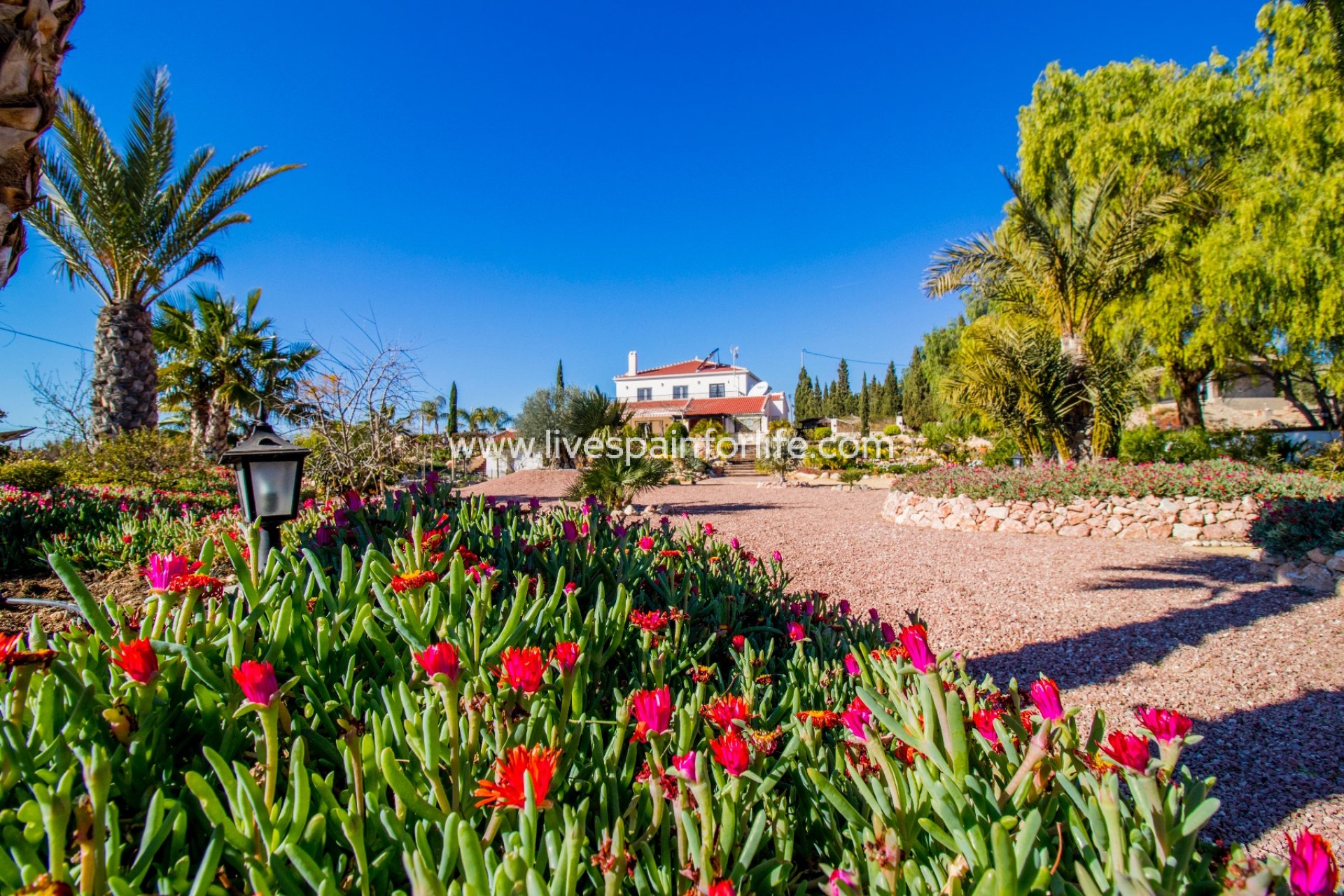 Reventa - Country house -
Albatera