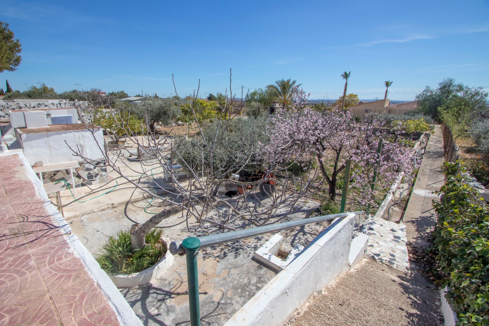 Reventa - Country house -
Albatera