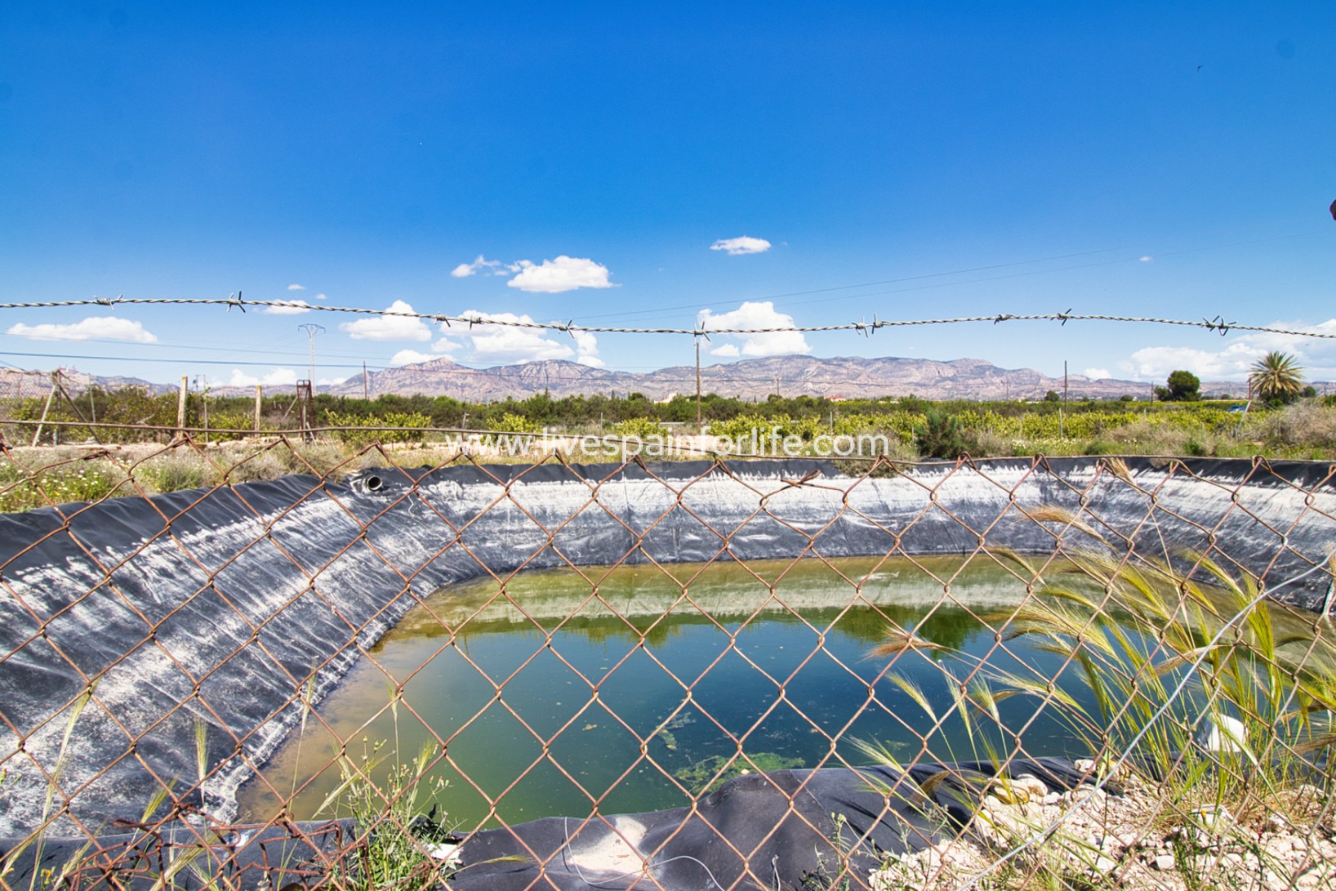 Reventa - Country house -
Albatera