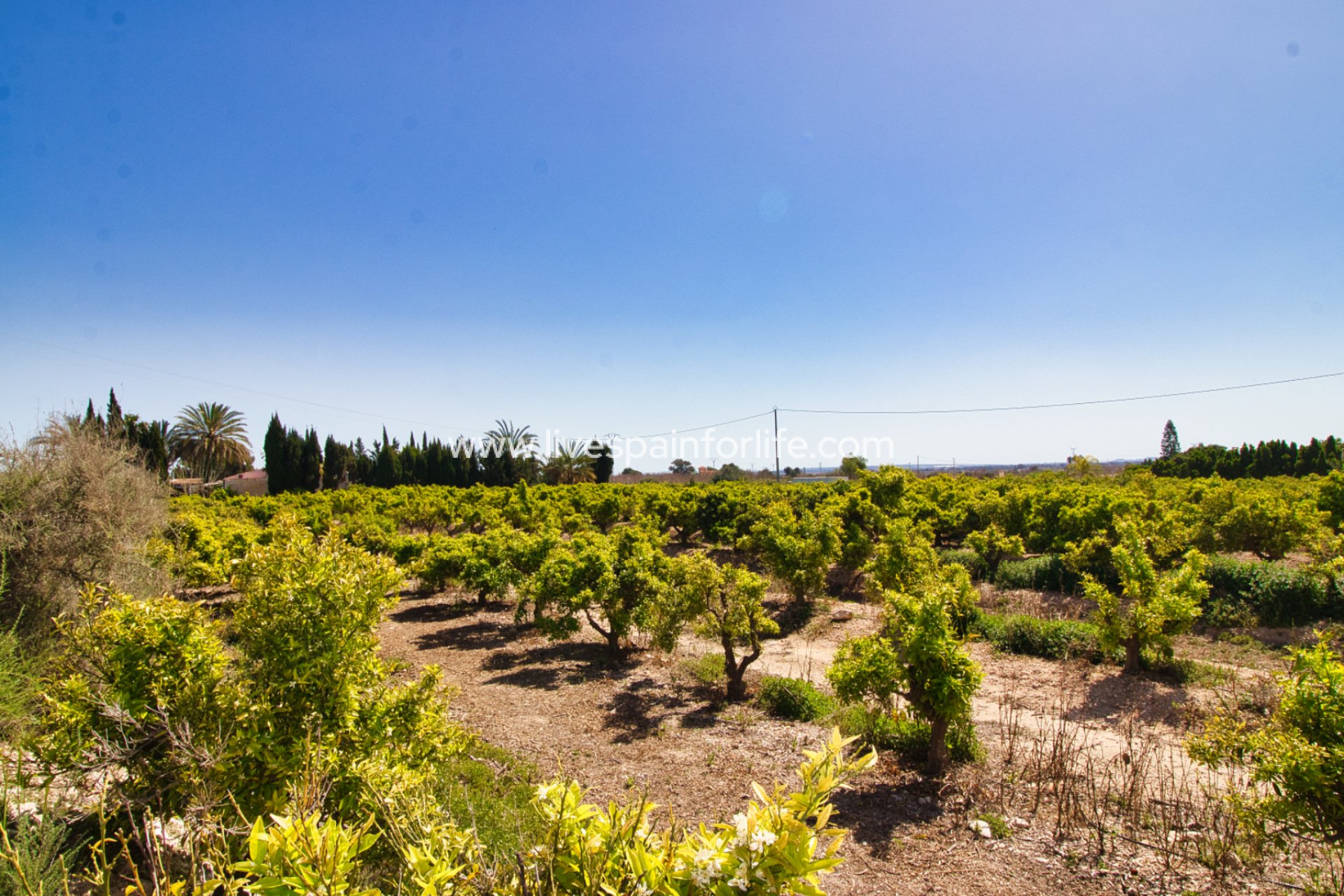 Reventa - Country house -
Albatera