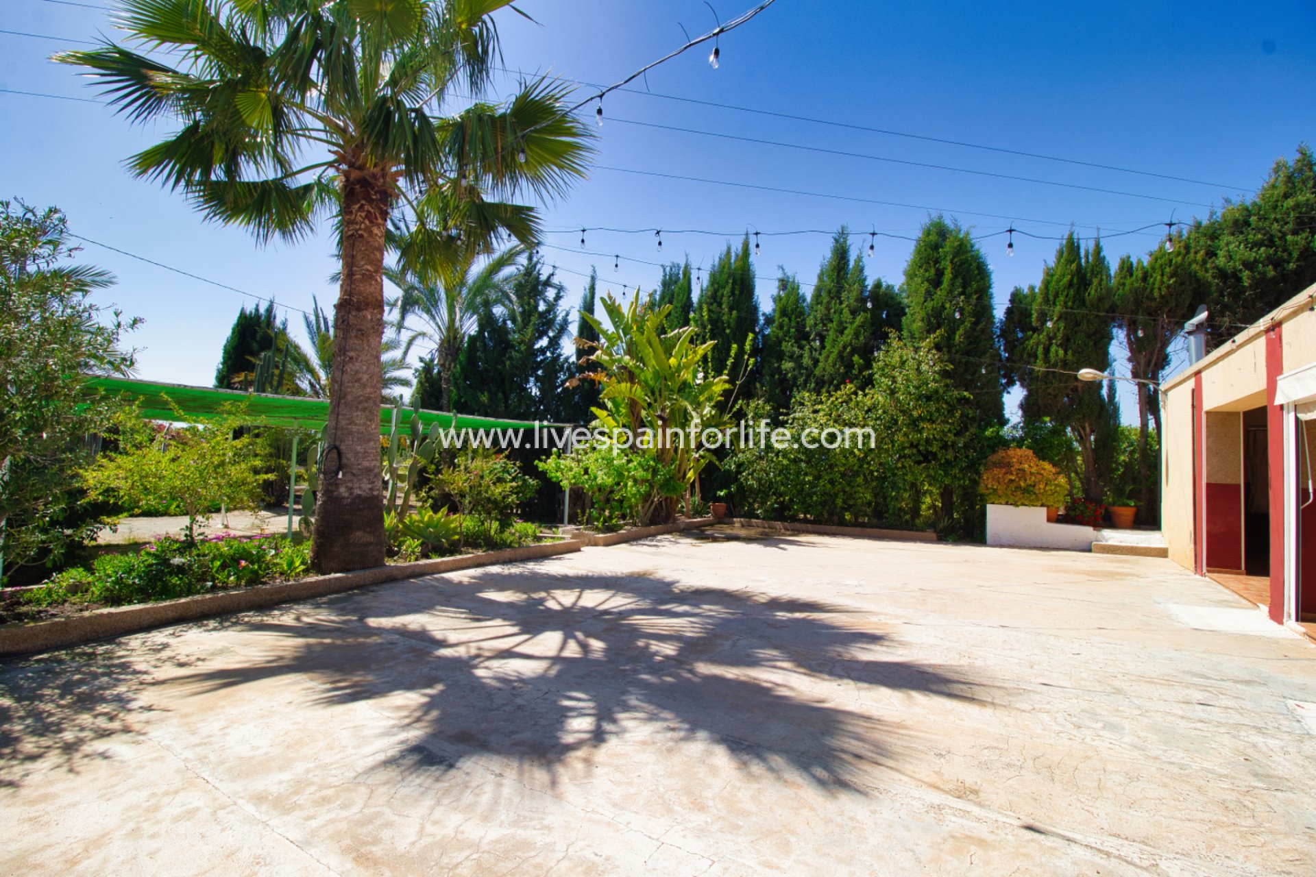 Reventa - Country house -
Albatera