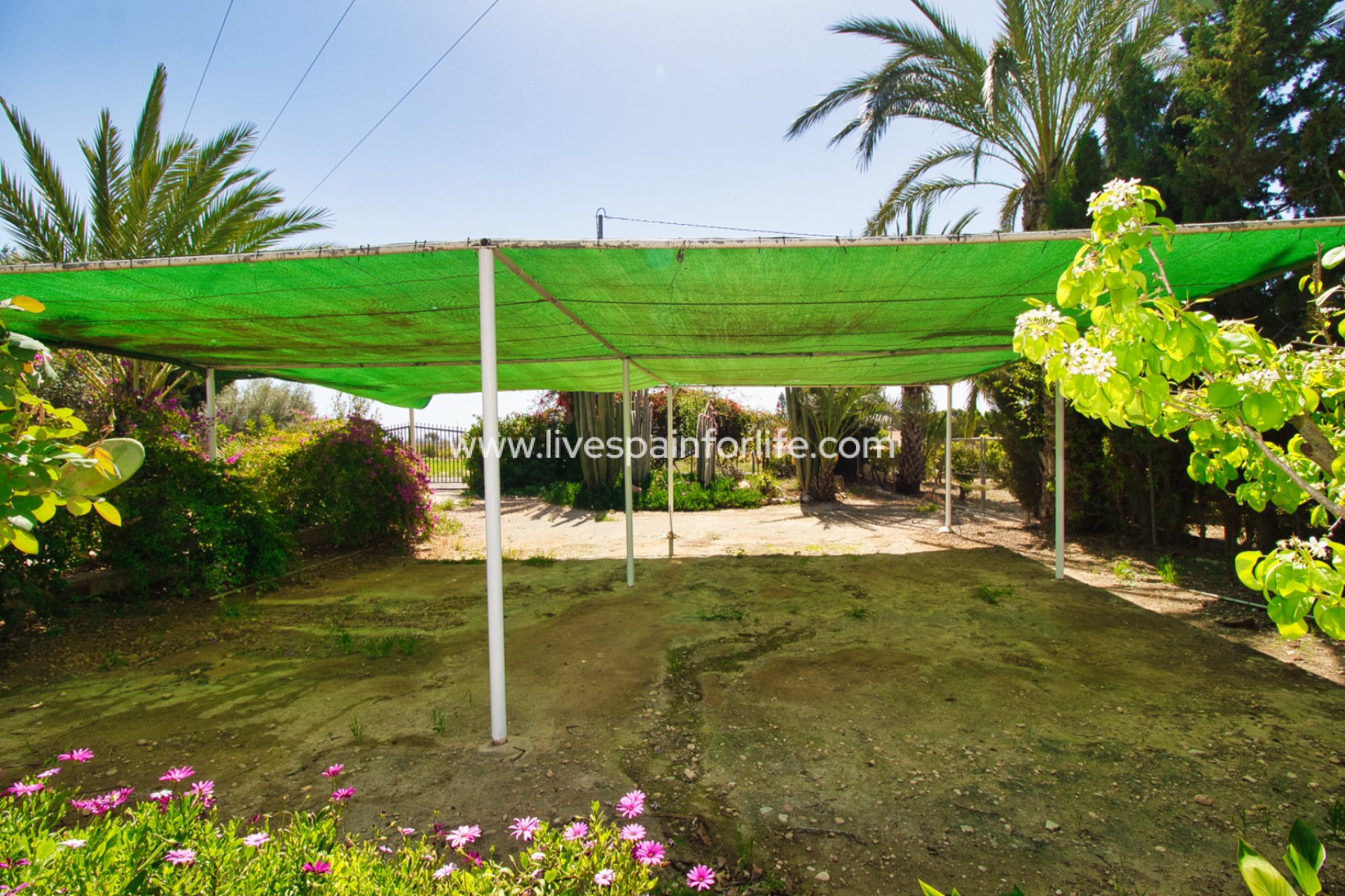 Reventa - Country house -
Albatera