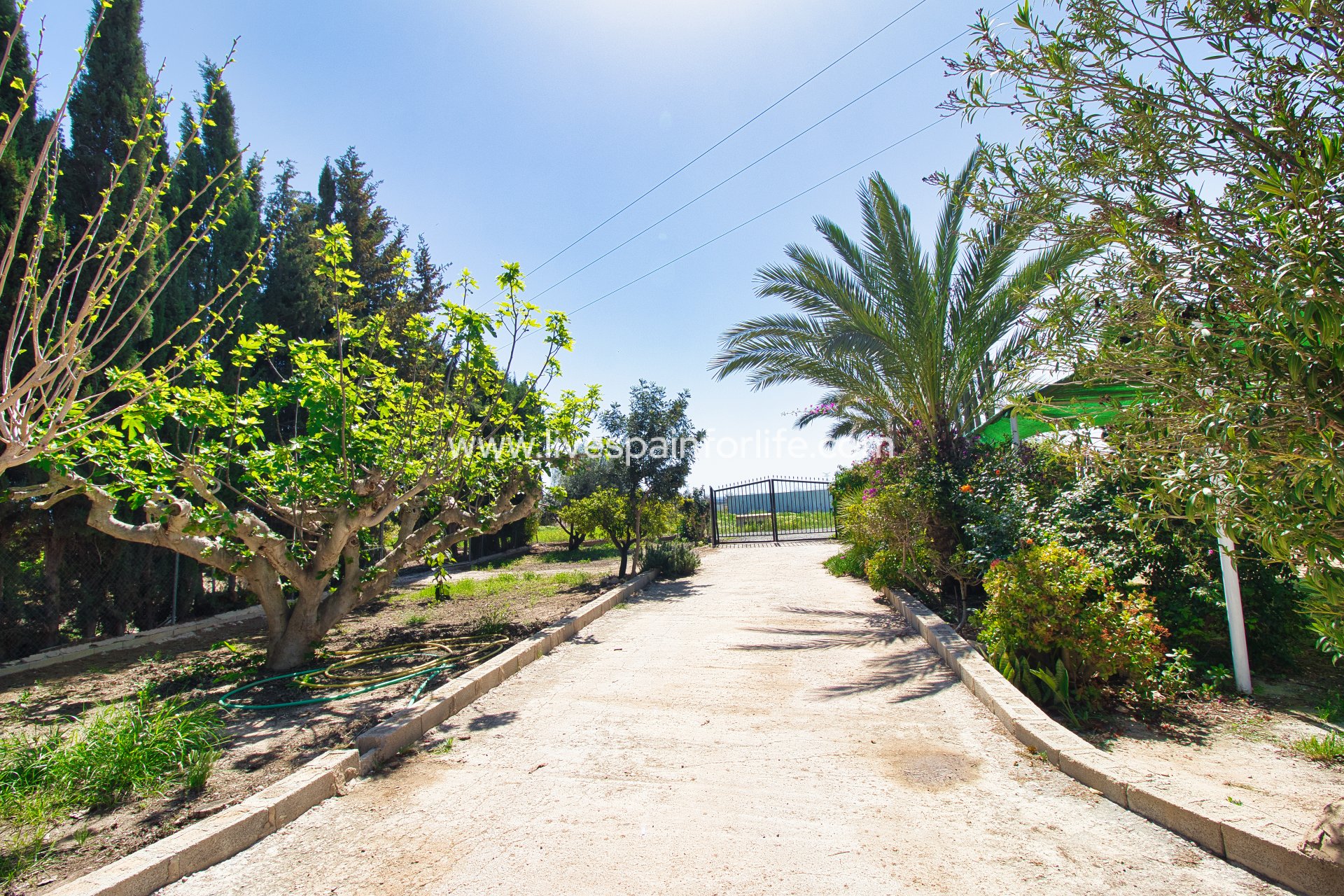 Reventa - Country house -
Albatera