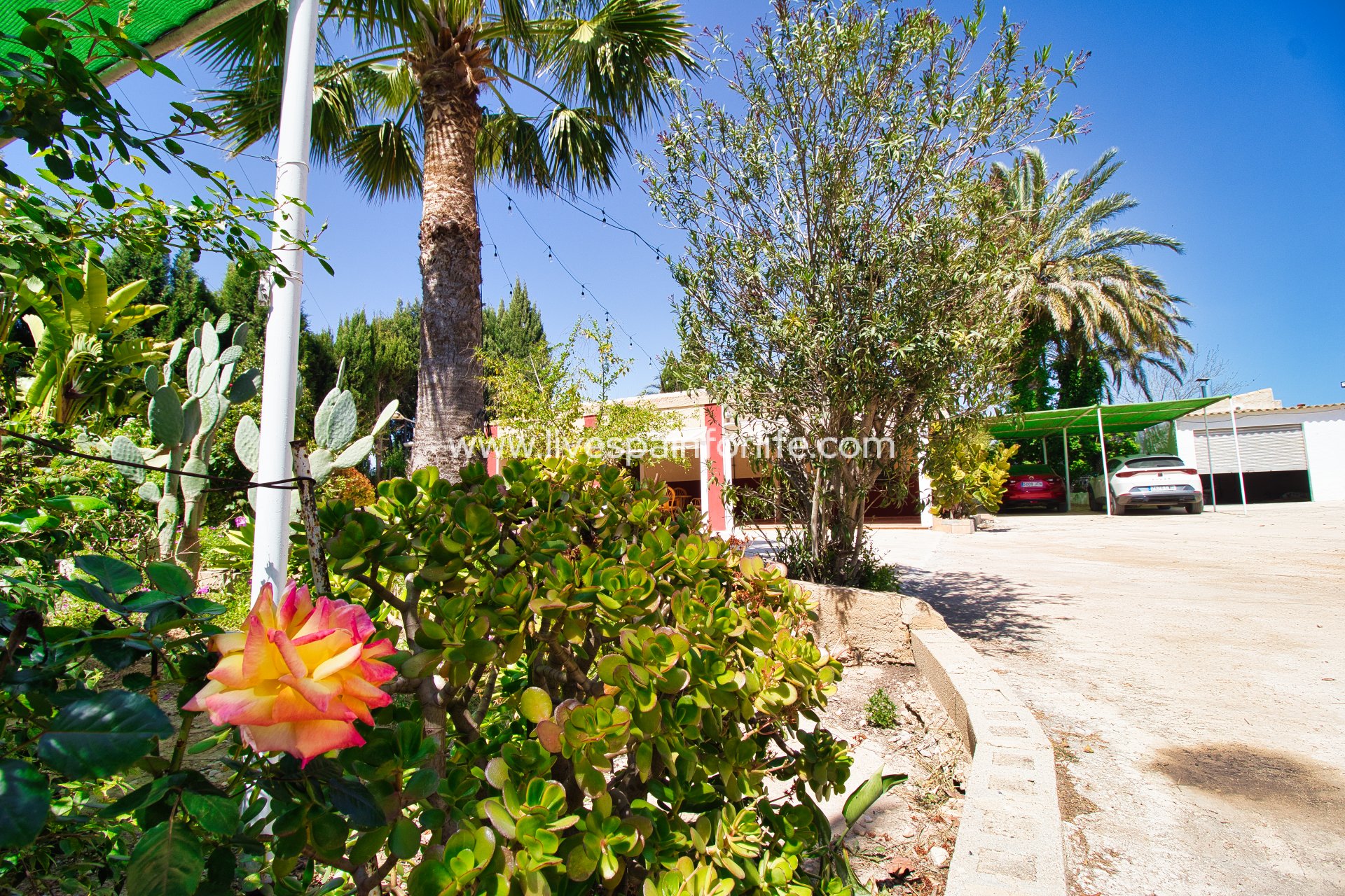 Reventa - Country house -
Albatera