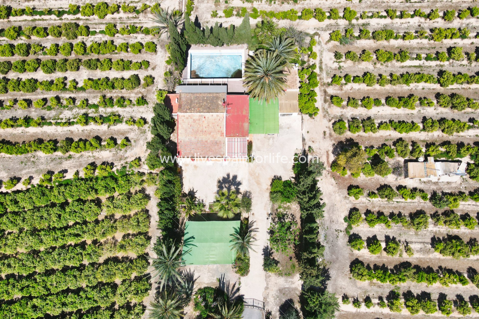 Reventa - Country house -
Albatera