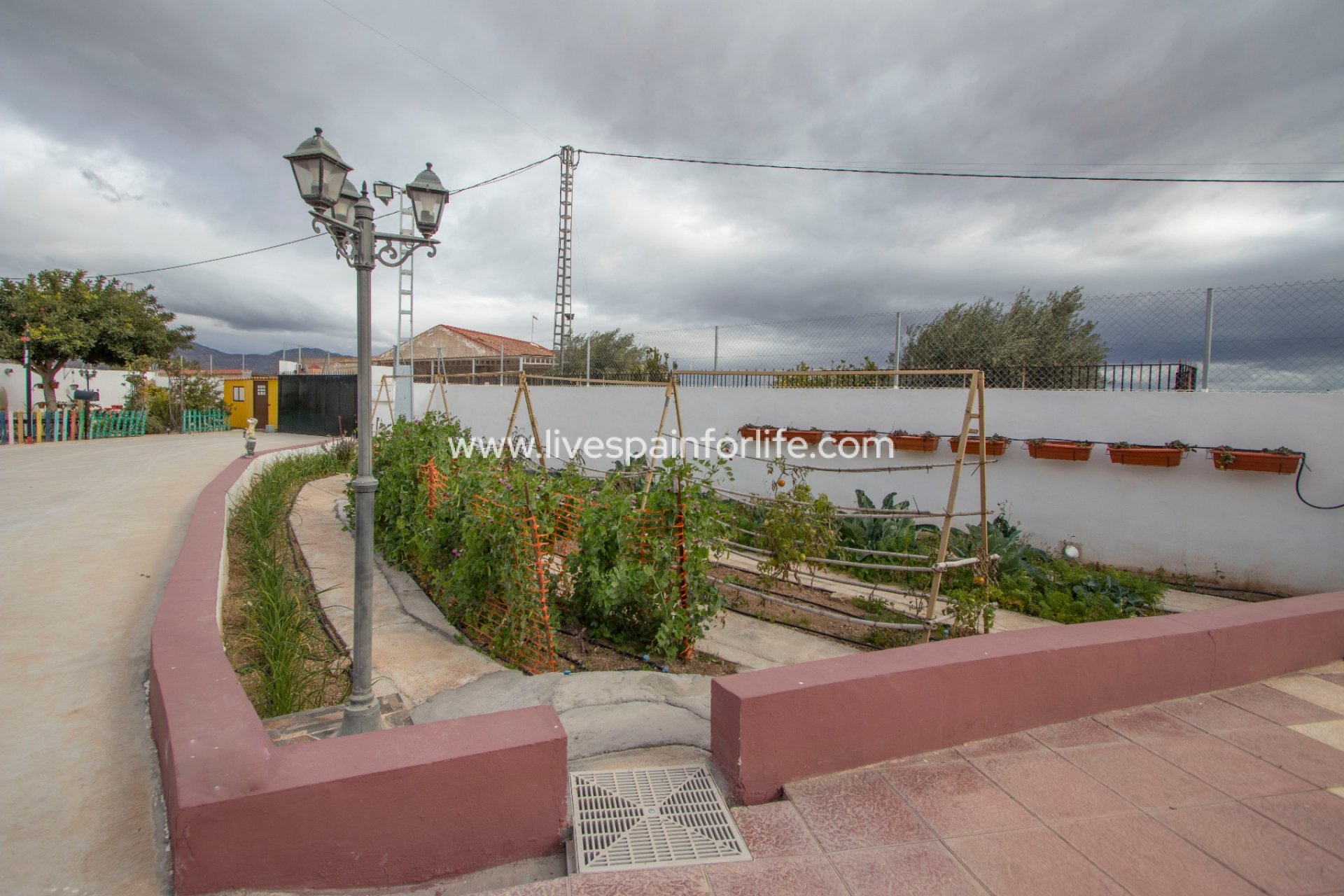 Reventa - Country house -
Albatera