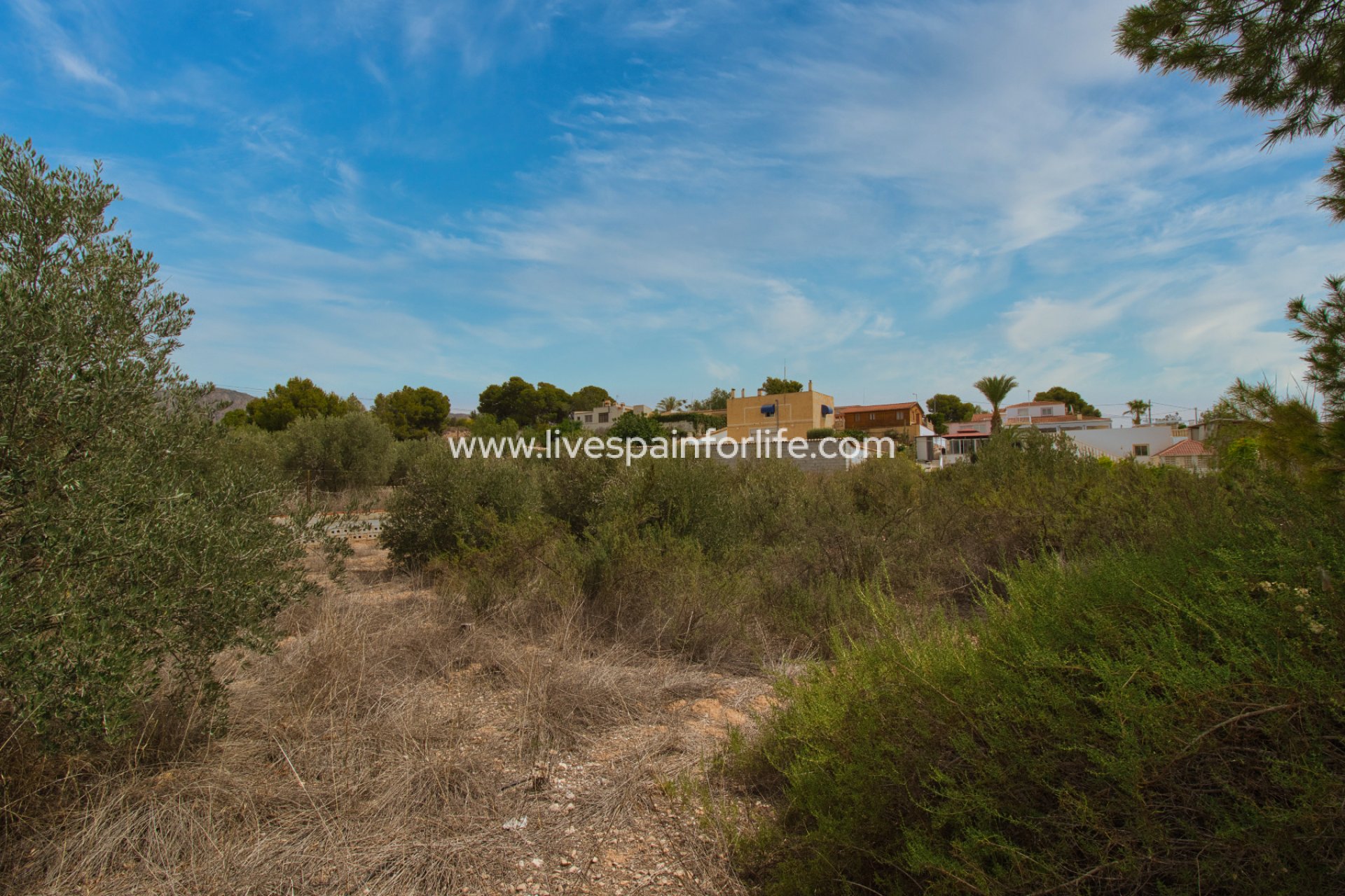 Reventa - Country house -
Albatera