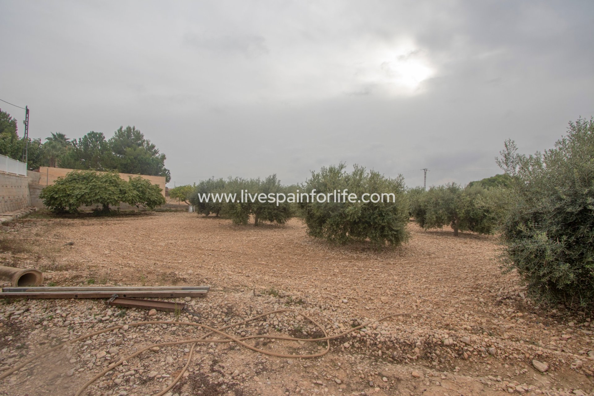 Reventa - Country house -
Albatera