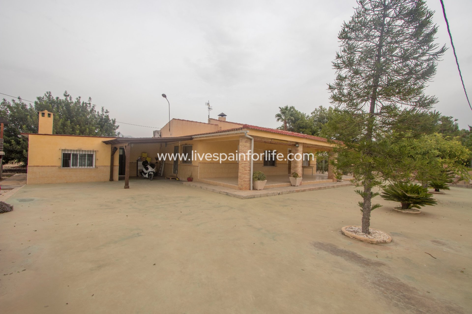 Reventa - Country house -
Albatera