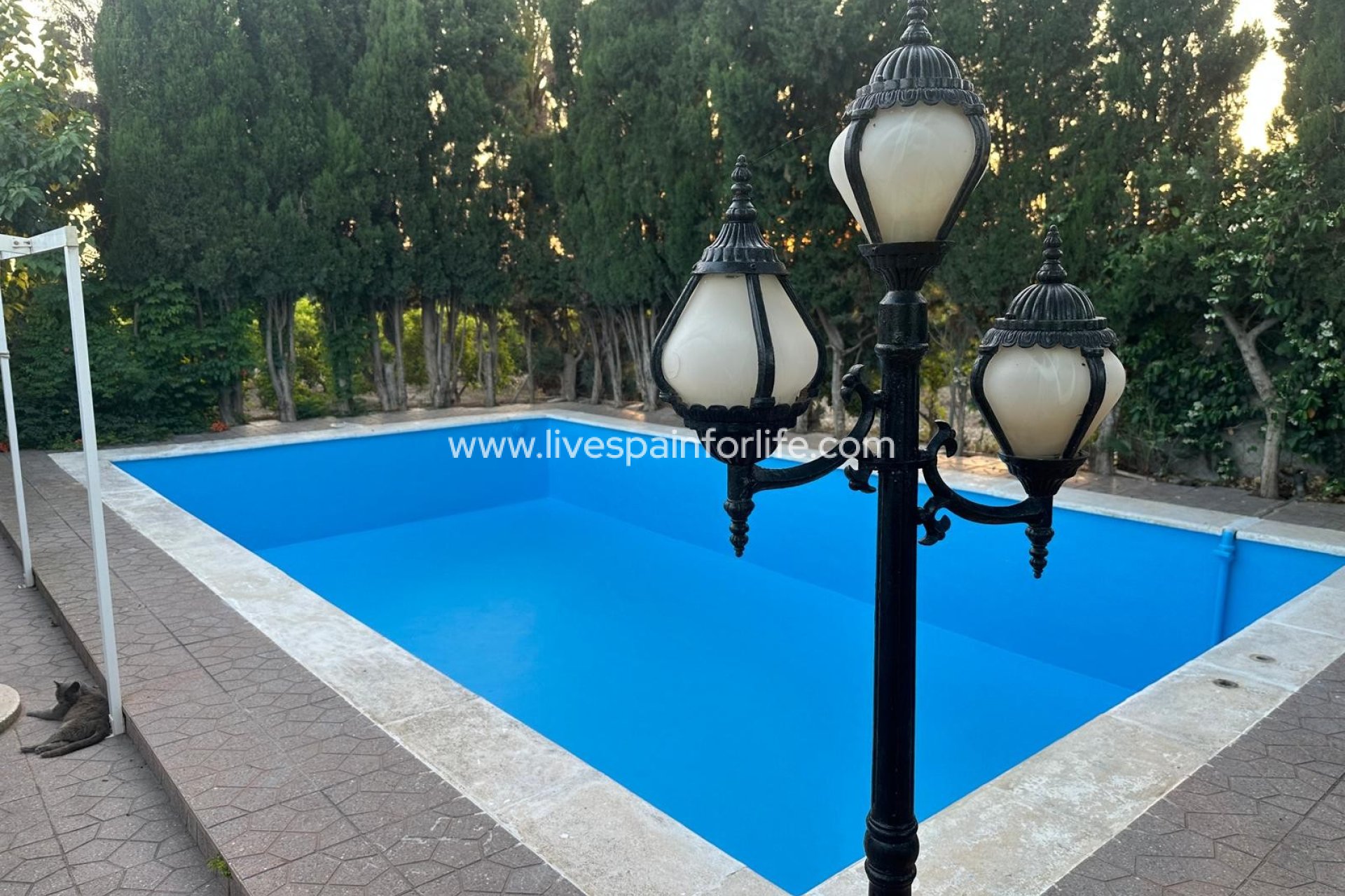 Reventa - Country house -
Albatera