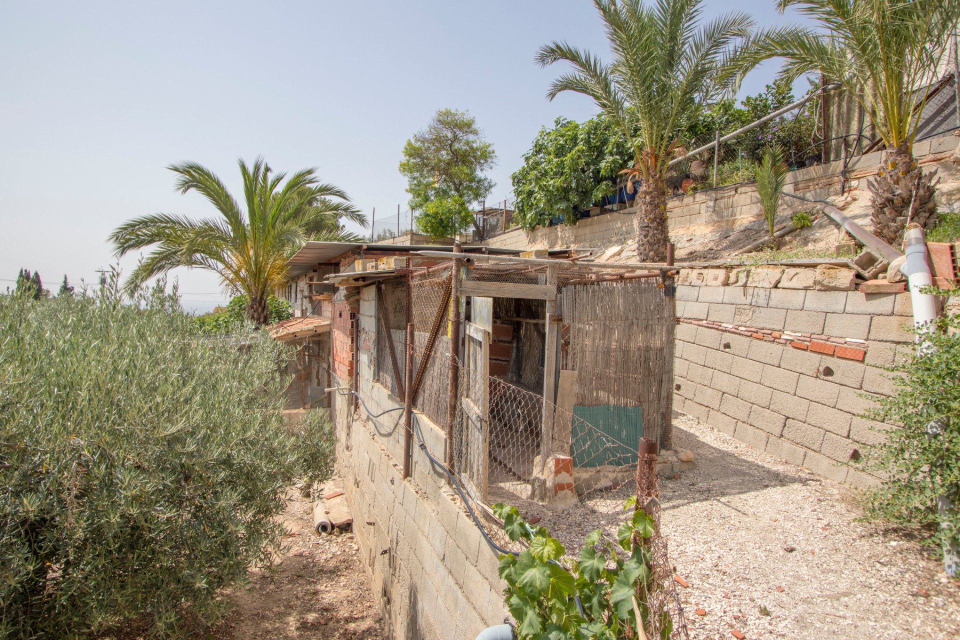 Reventa - Country house -
Albatera