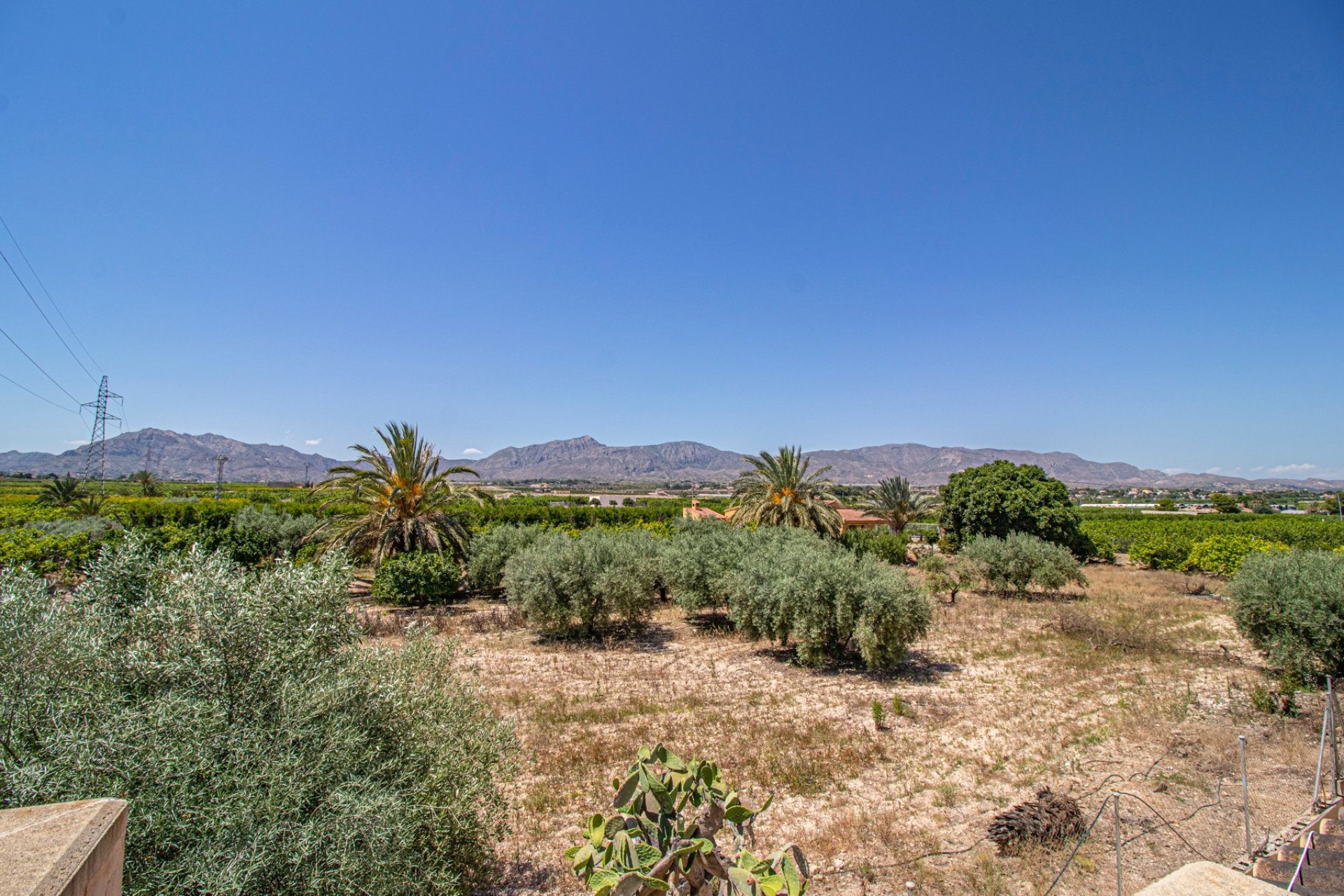 Reventa - Country house -
Albatera