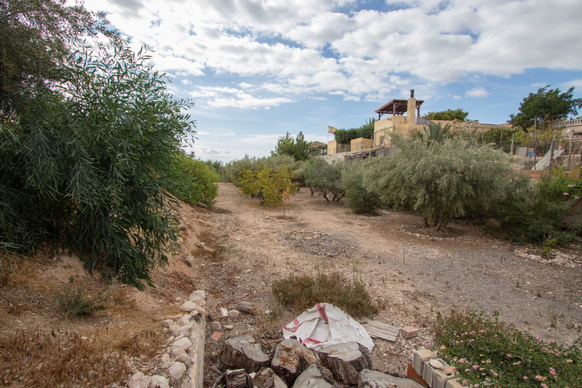 Reventa - Country house -
Albatera