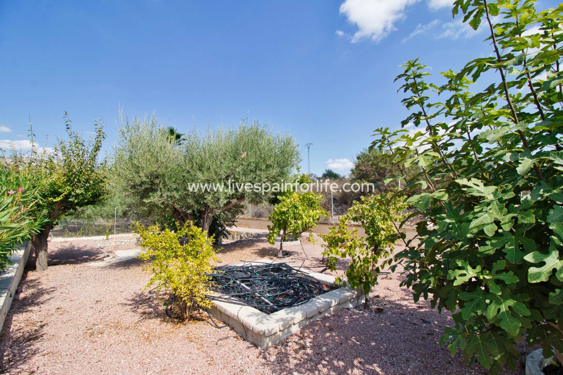 Reventa - Country house -
Albatera