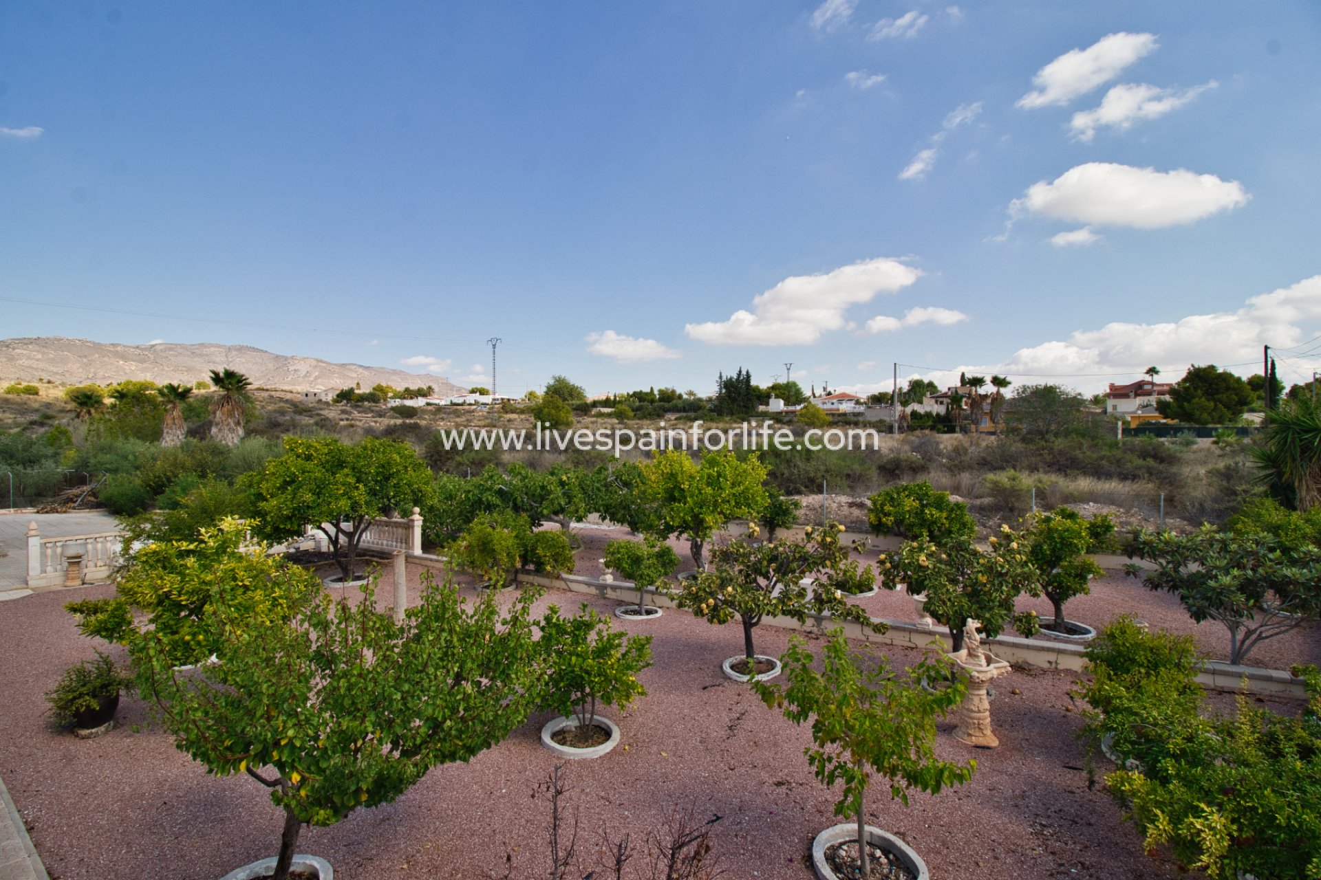 Reventa - Country house -
Albatera