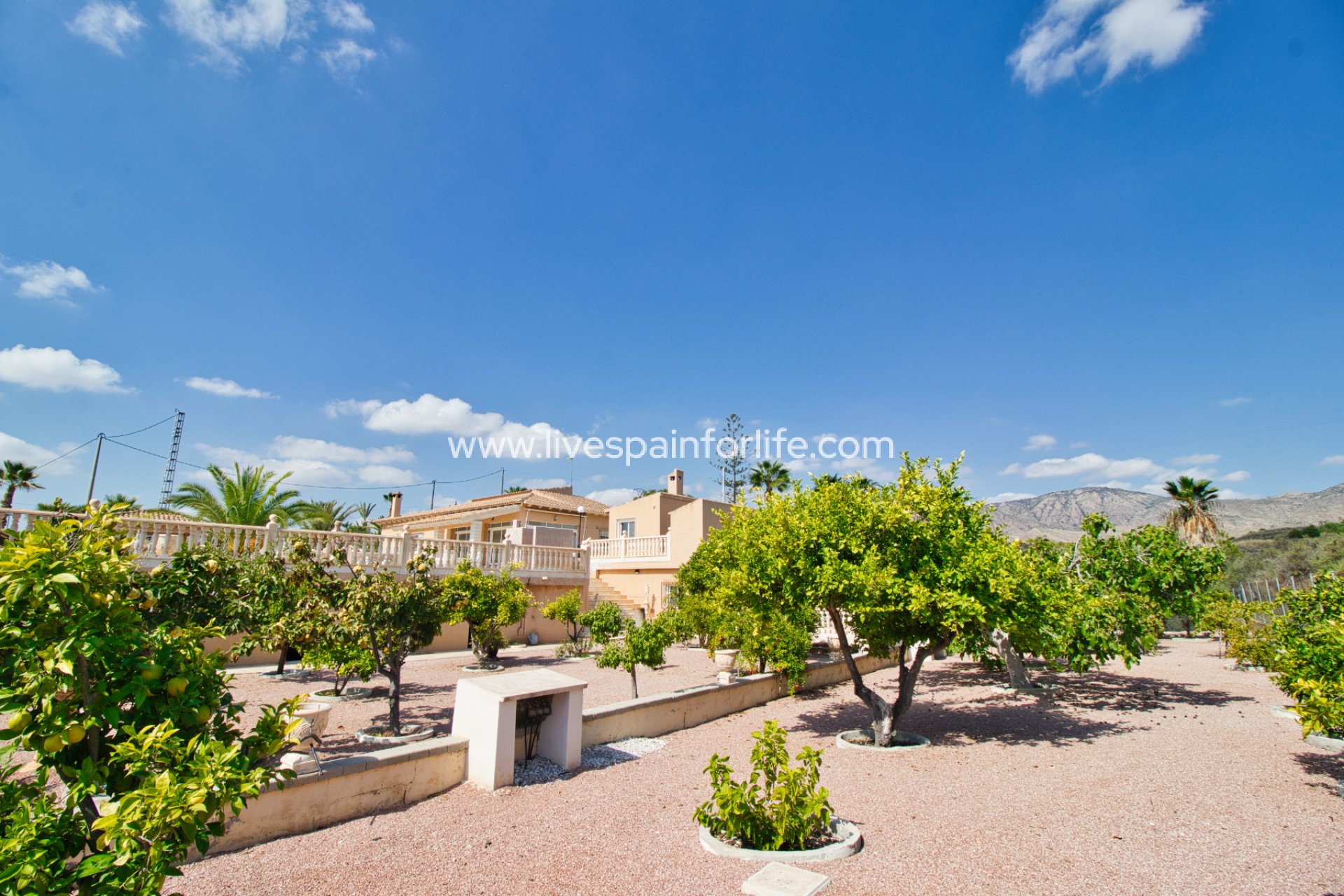 Reventa - Country house -
Albatera