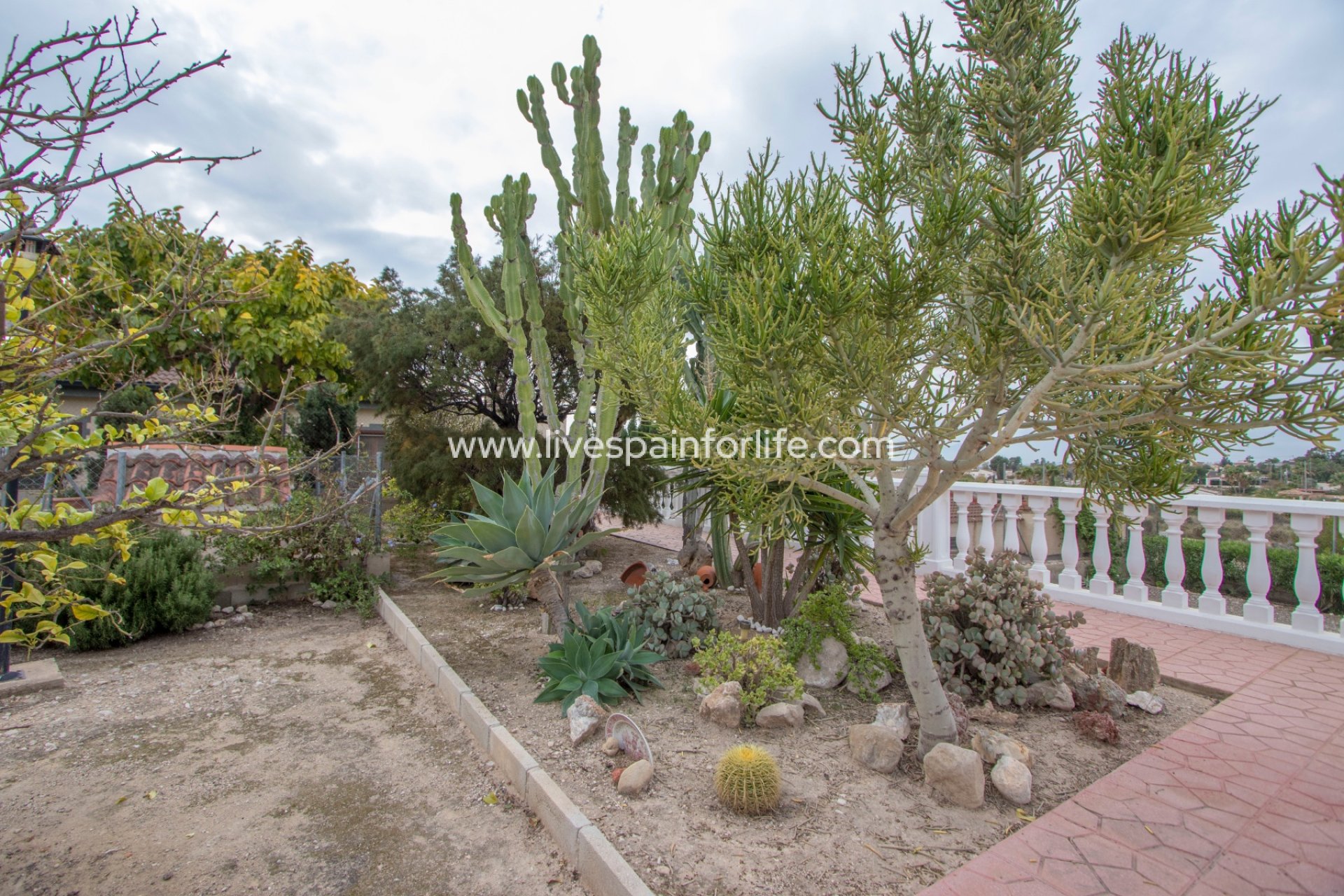 Reventa - Country house -
Albatera