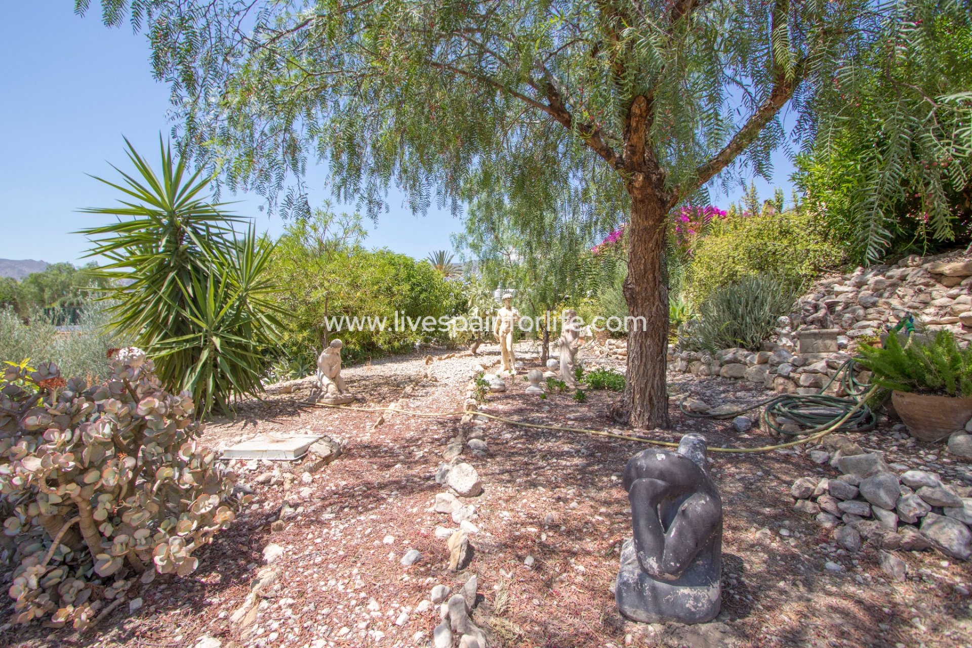 Reventa - Country house -
Albatera