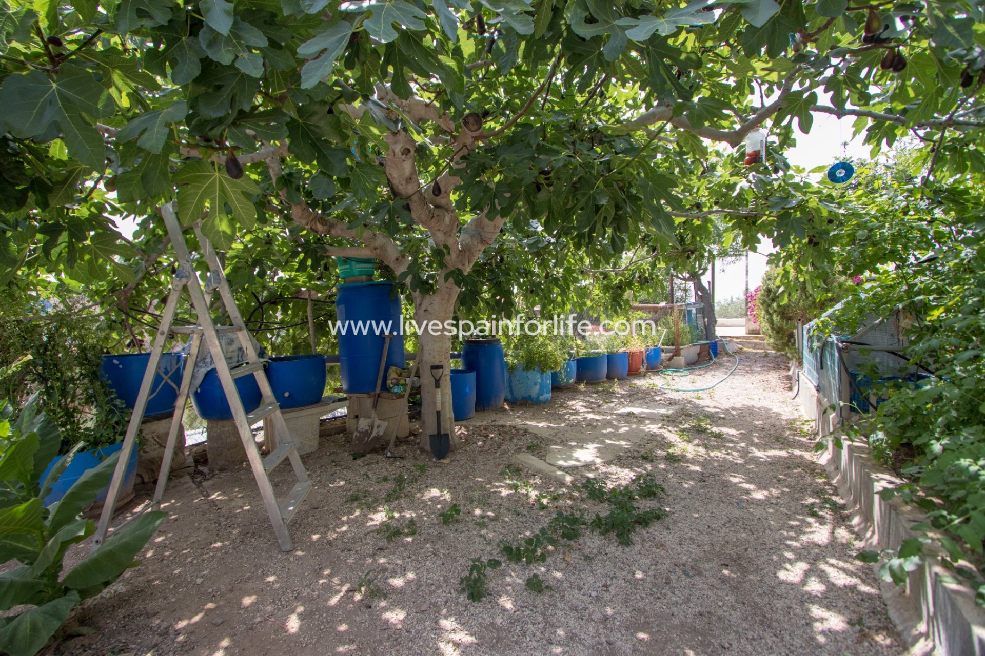 Reventa - Country house -
Albatera