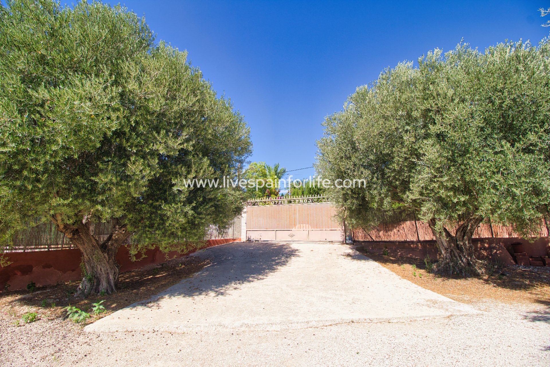 Reventa - Country house -
Albatera