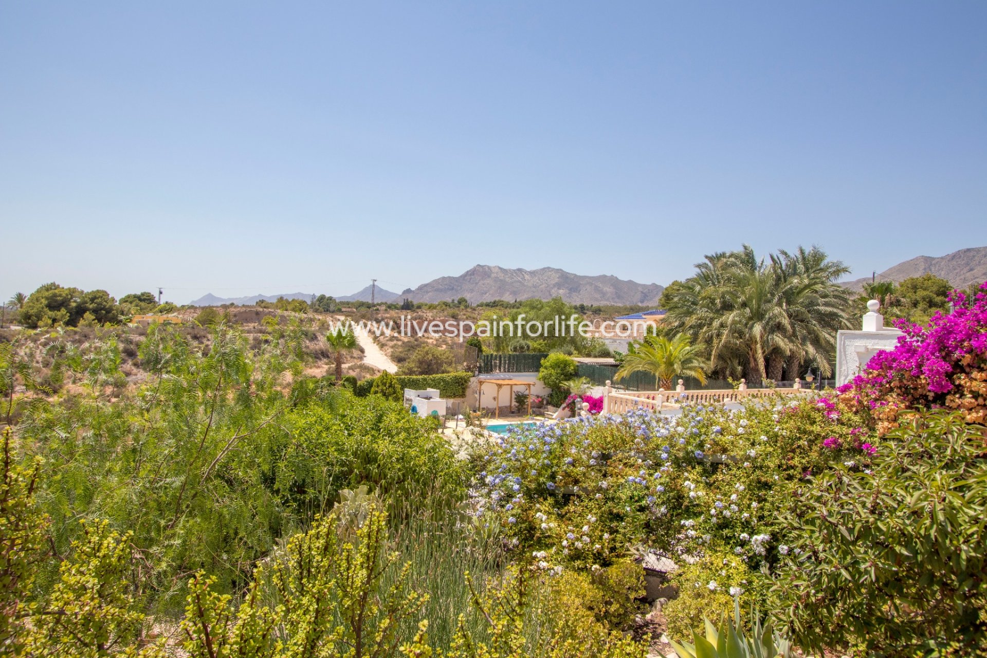 Reventa - Country house -
Albatera