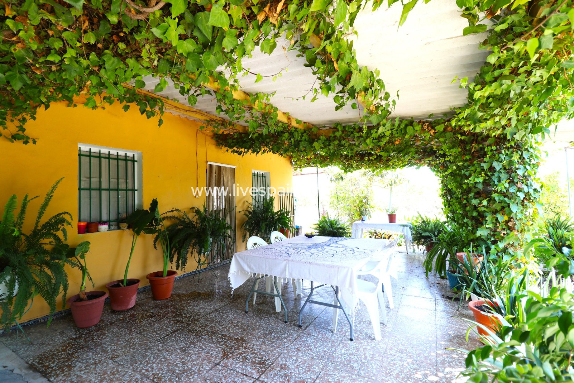 Reventa - Country house -
Albatera