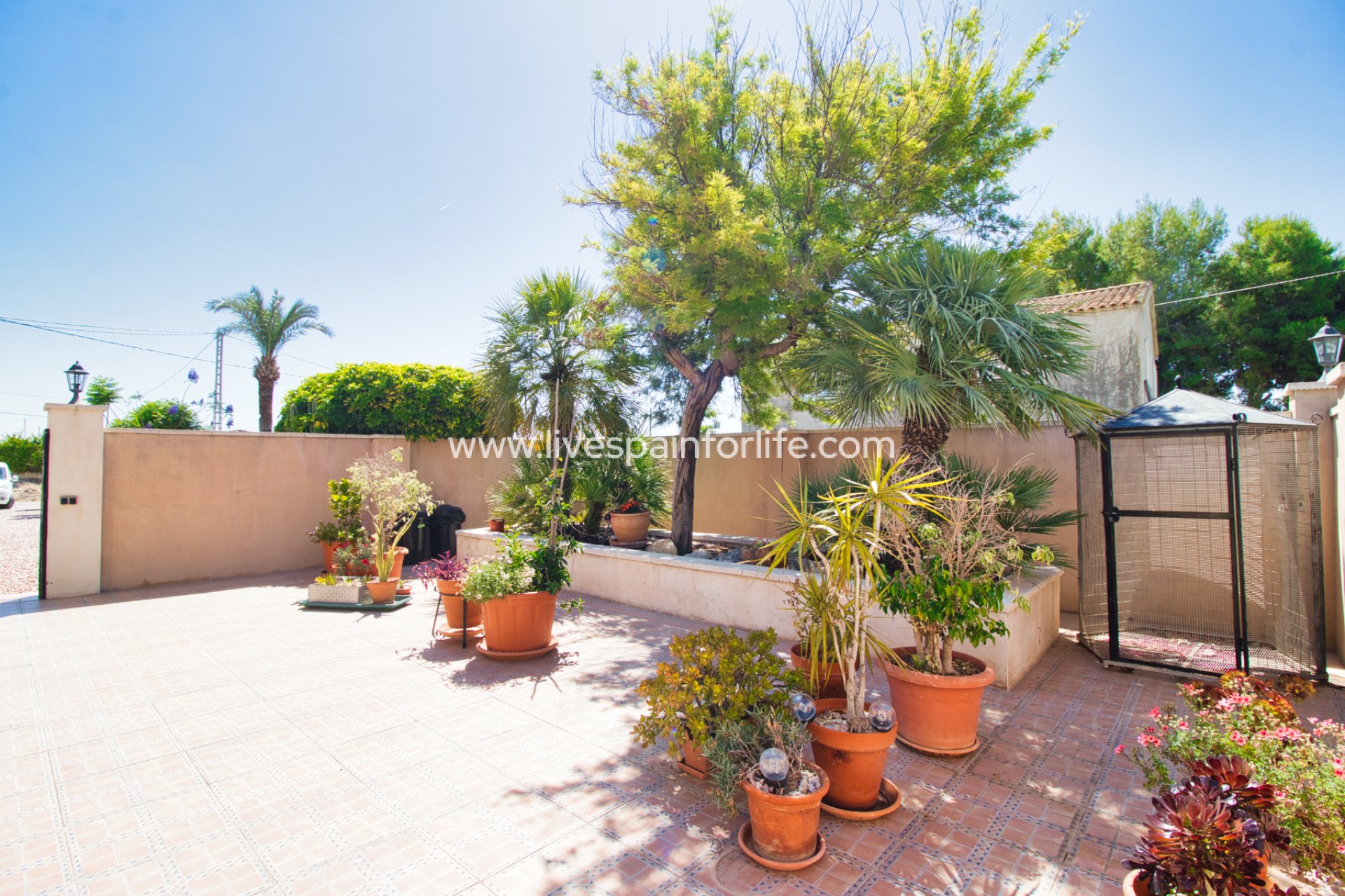 Reventa - Country house -
Albatera