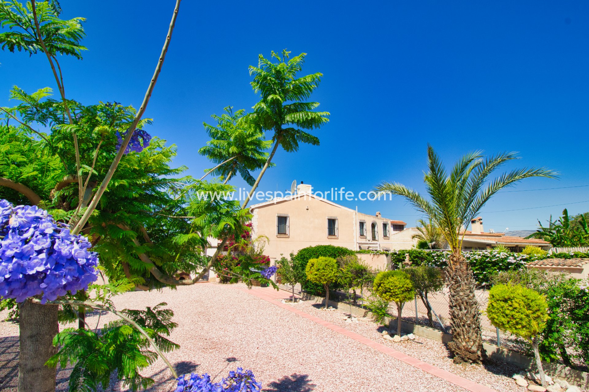 Reventa - Country house -
Albatera