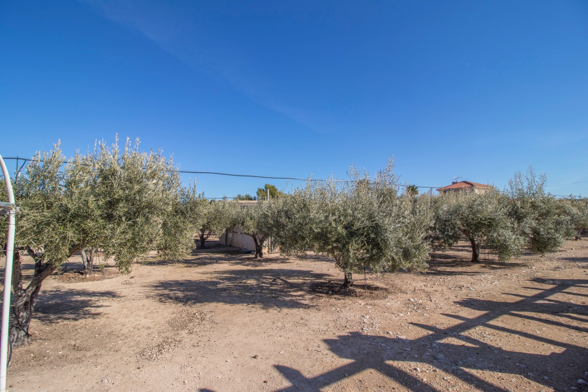 Reventa - Country house -
Alicante