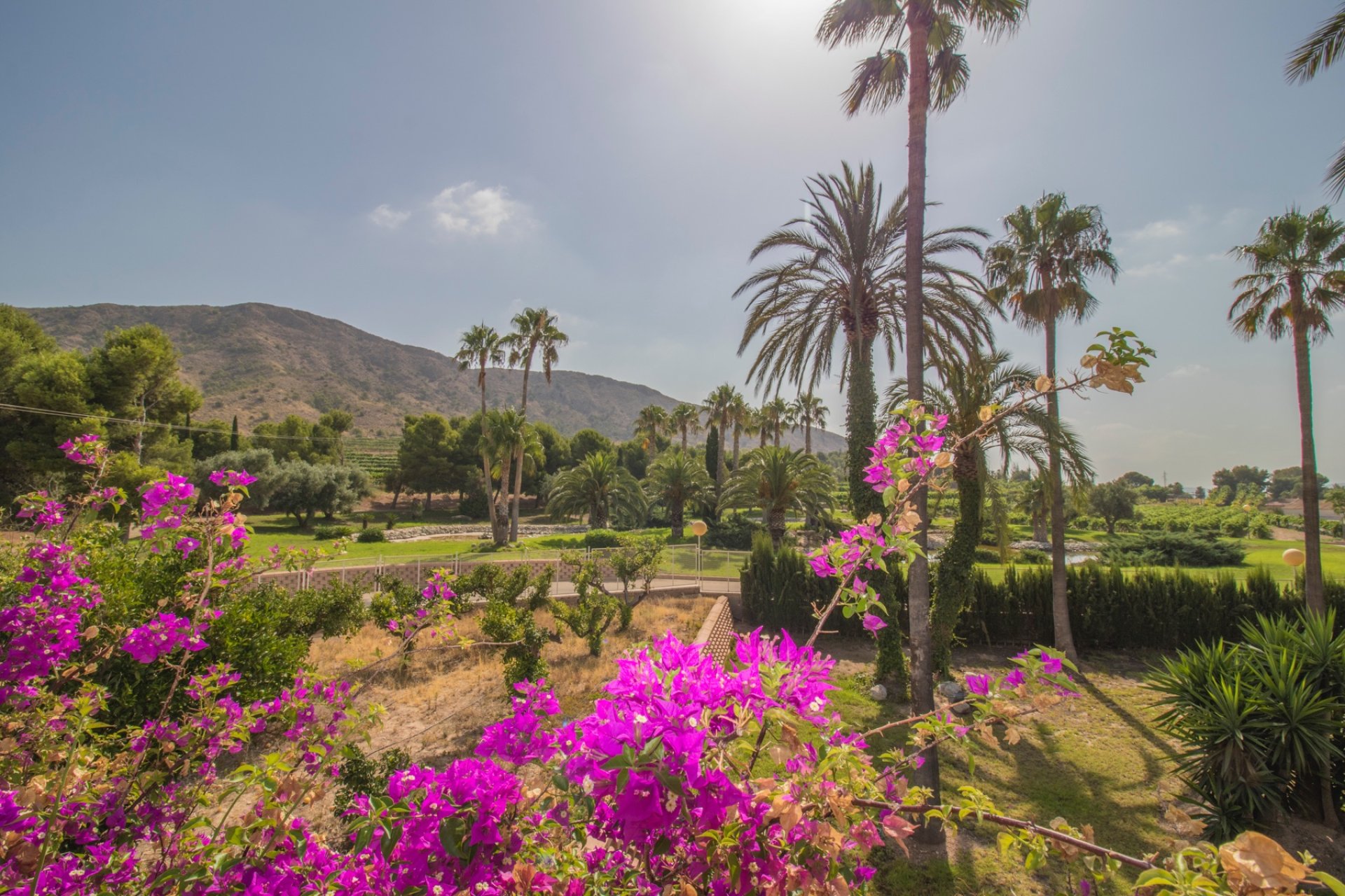 Reventa - Country house -
Alicante