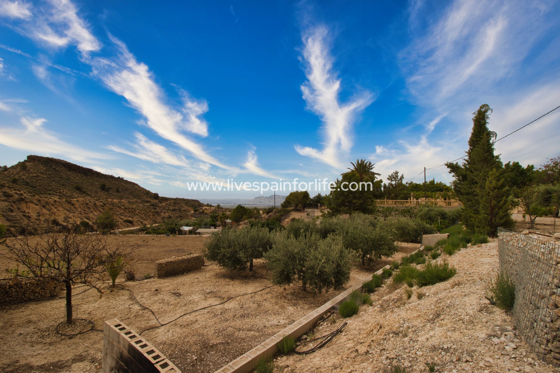 Reventa - Country house -
Alicante