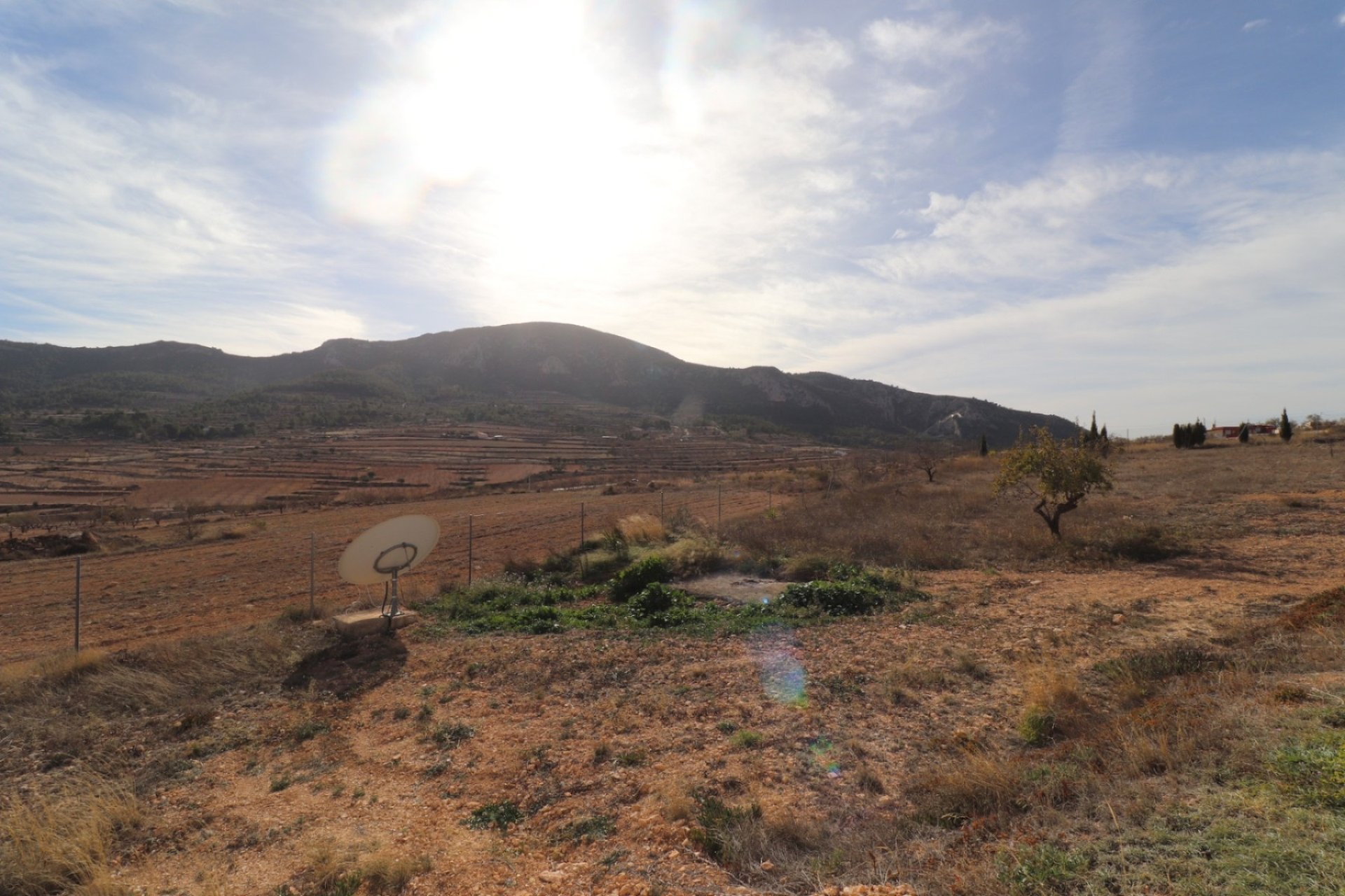 Reventa - Country house -
Alicante