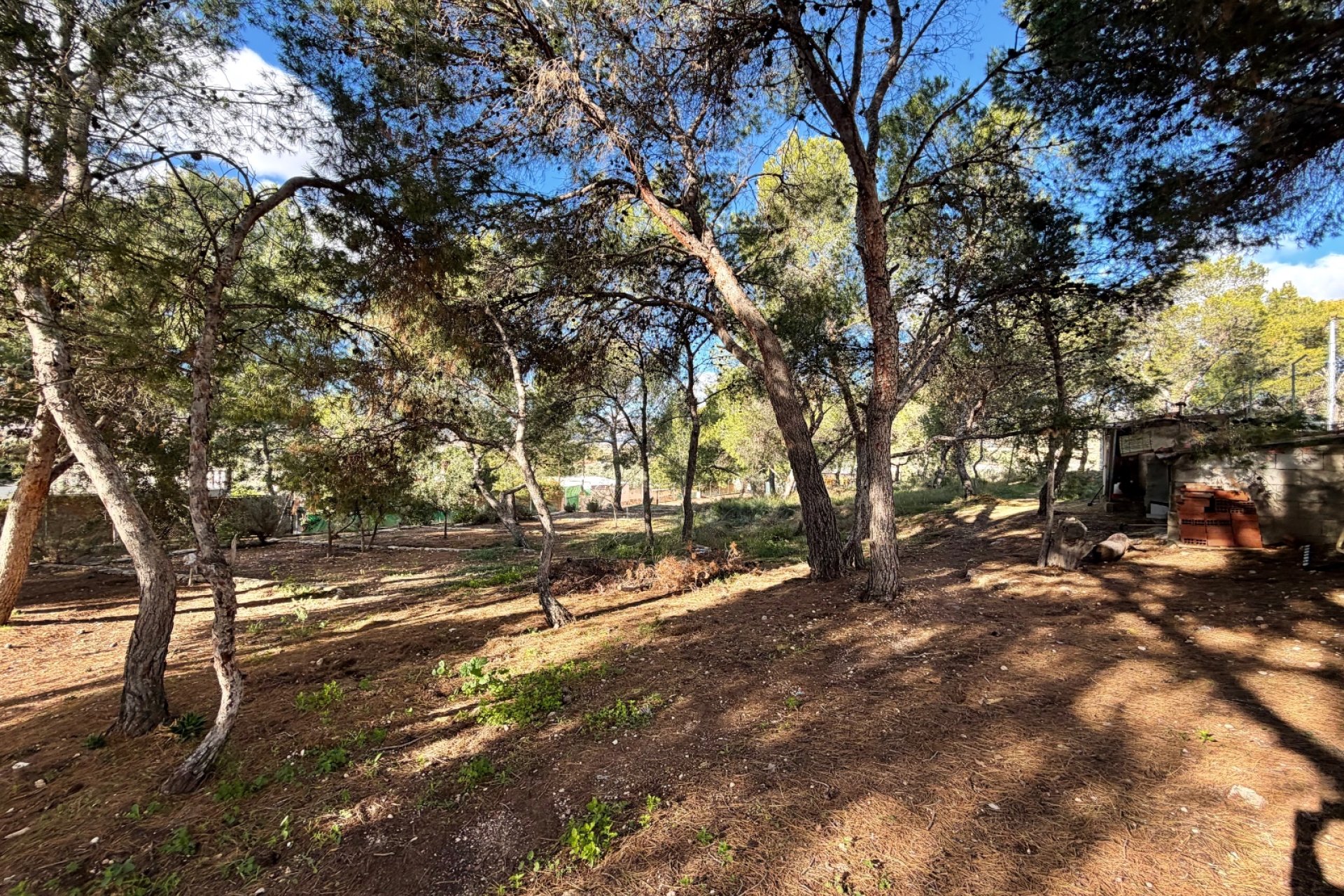 Reventa - Country house -
Alicante