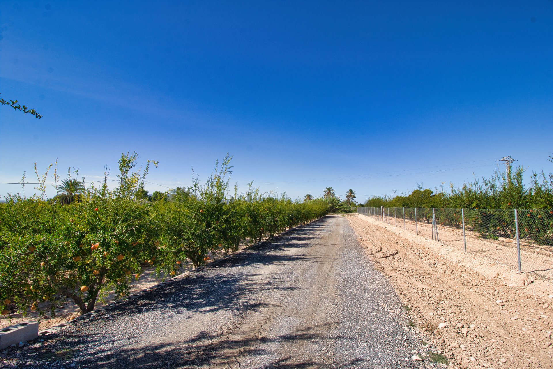 Reventa - Country house -
Alicante