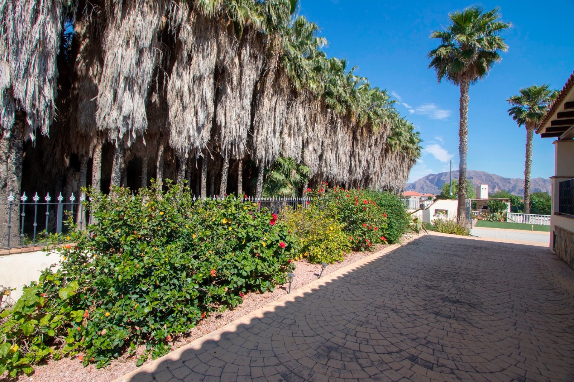 Reventa - Country house -
Alicante