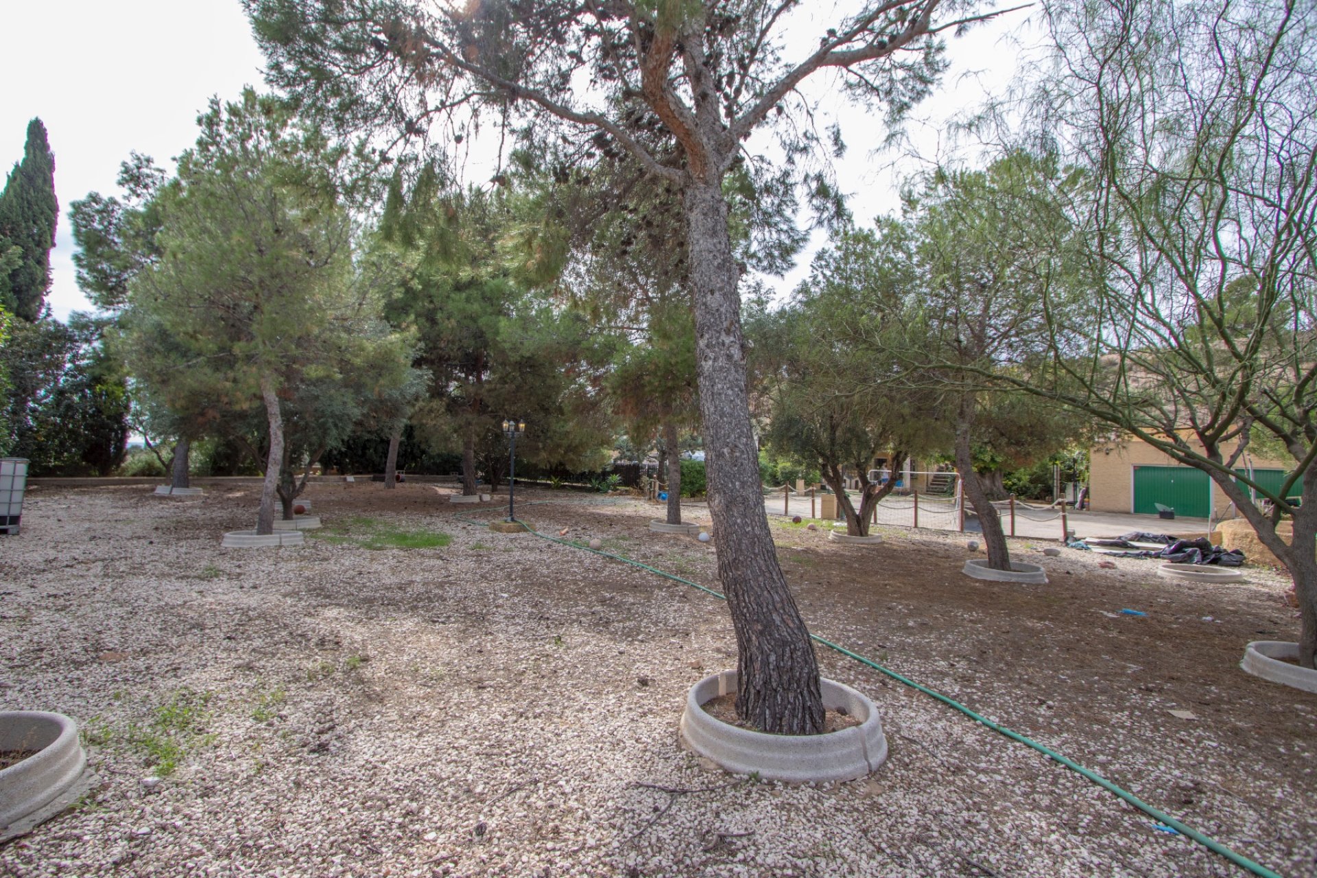 Reventa - Country house -
Alicante