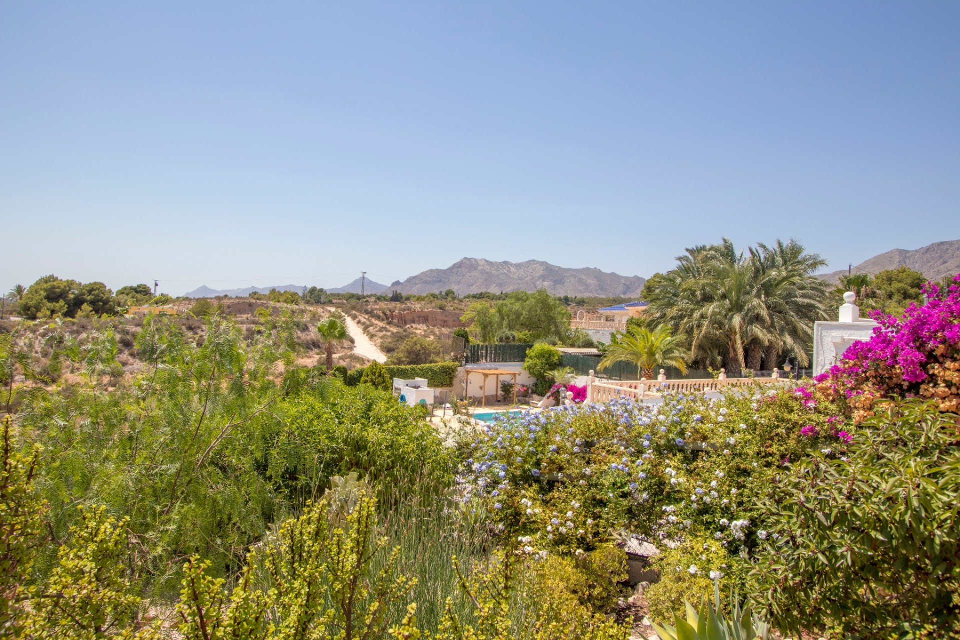 Reventa - Country house -
Alicante