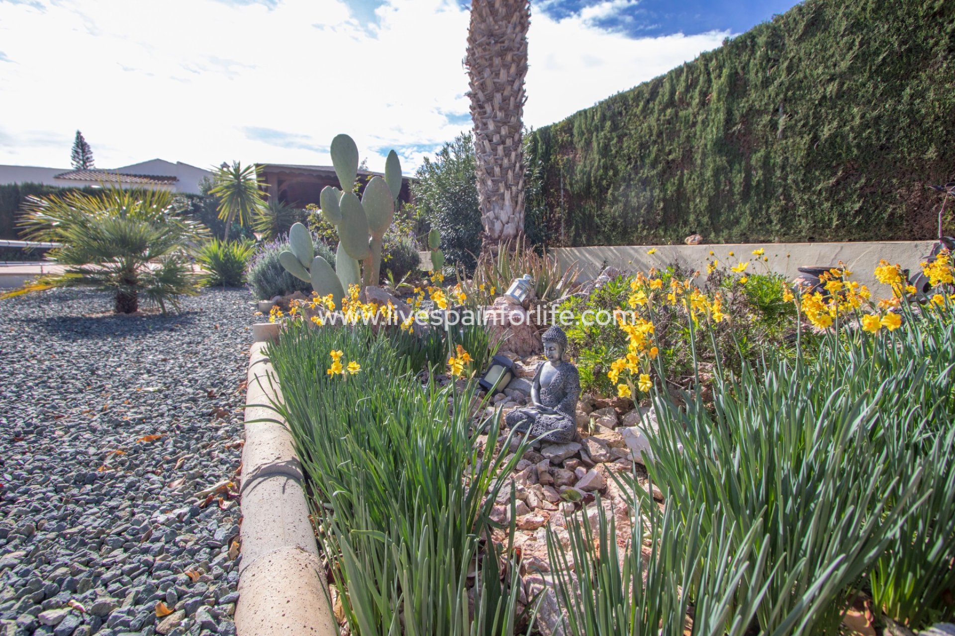 Reventa - Country house -
Alicante