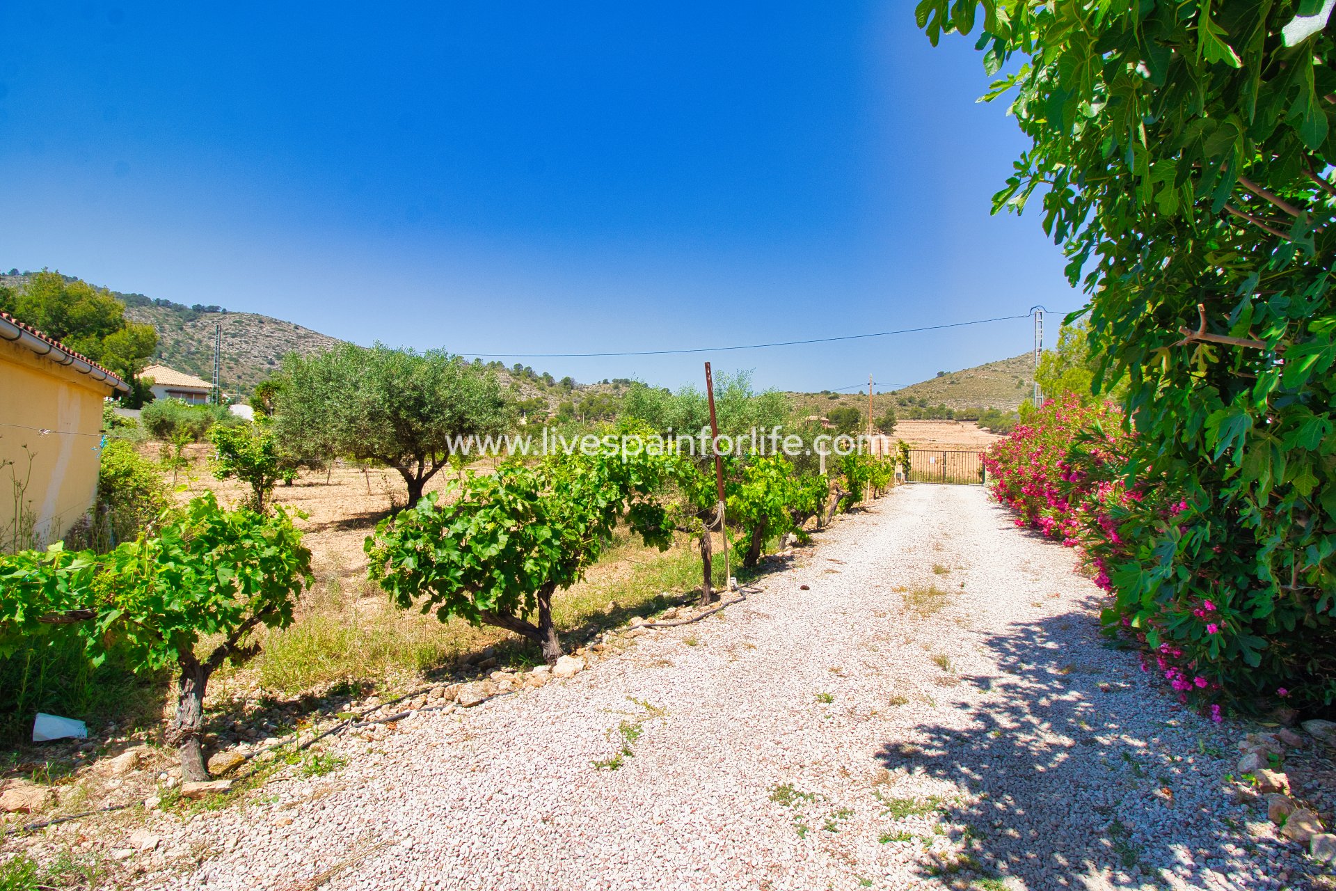 Reventa - Country house -
Alicante