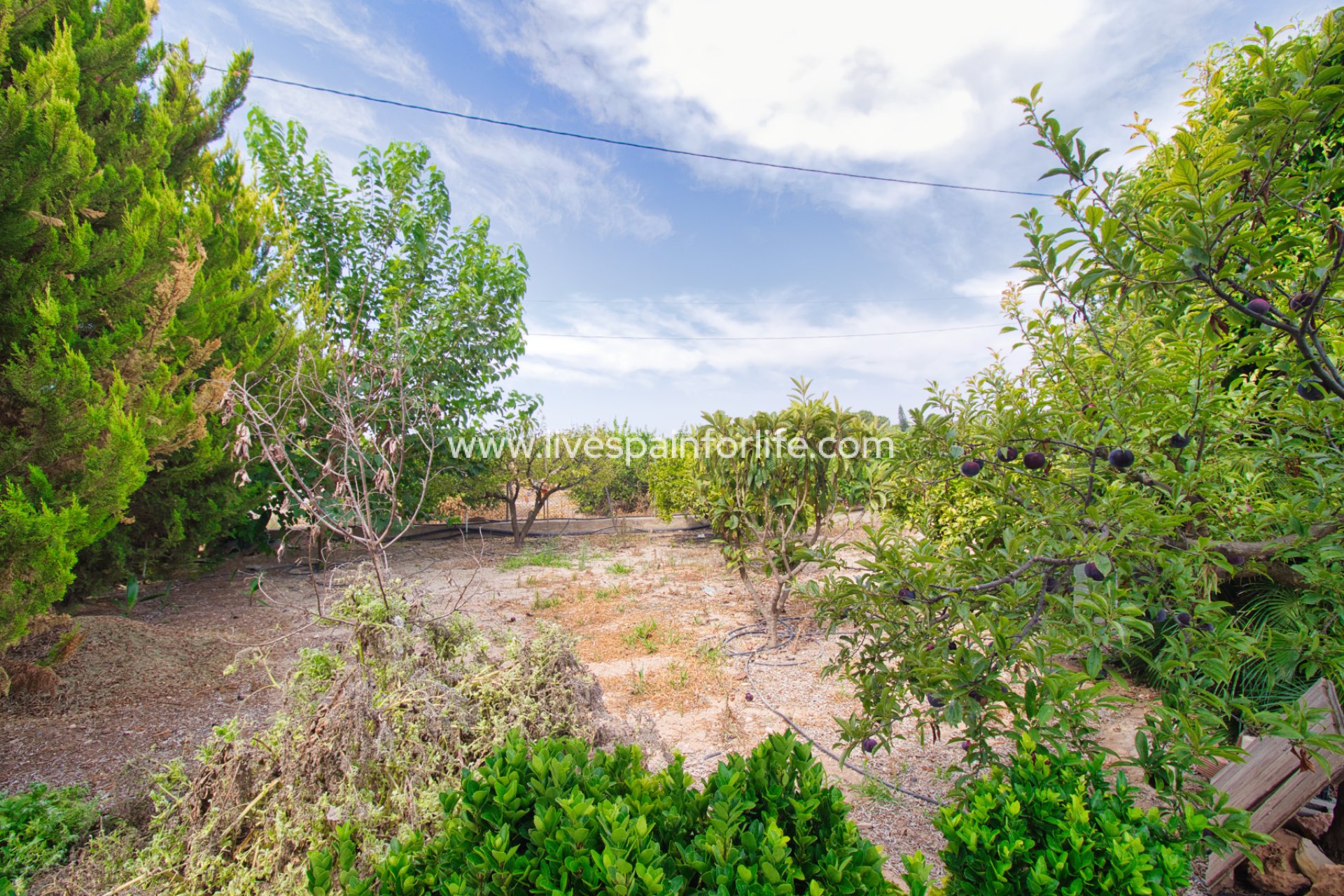 Reventa - Country house -
Alicante