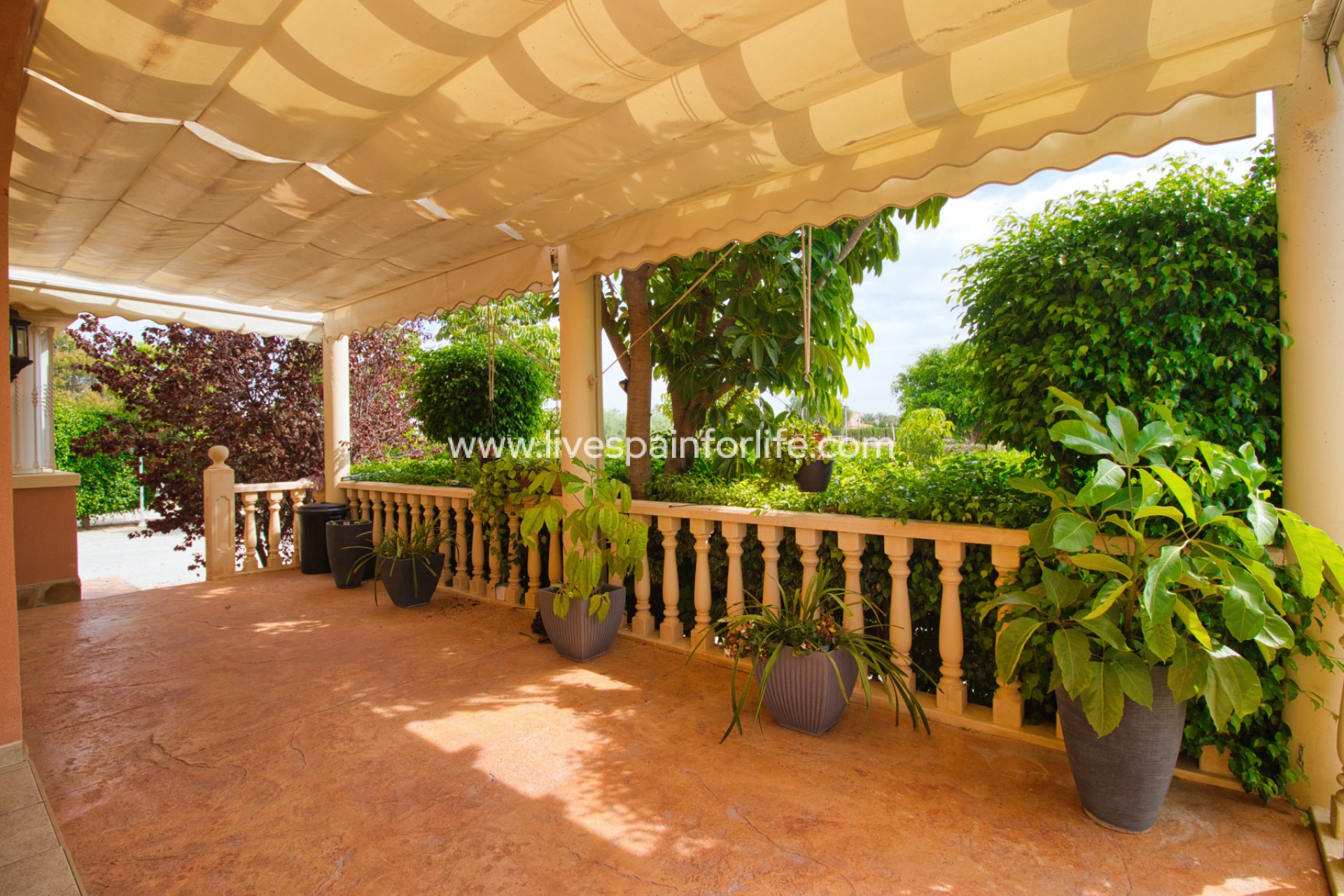 Reventa - Country house -
Alicante