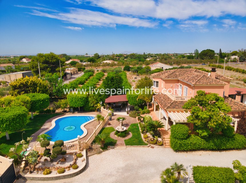 Reventa - Country house -
Alicante