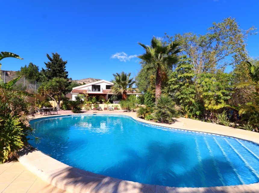 Reventa - Country house -
Aspe