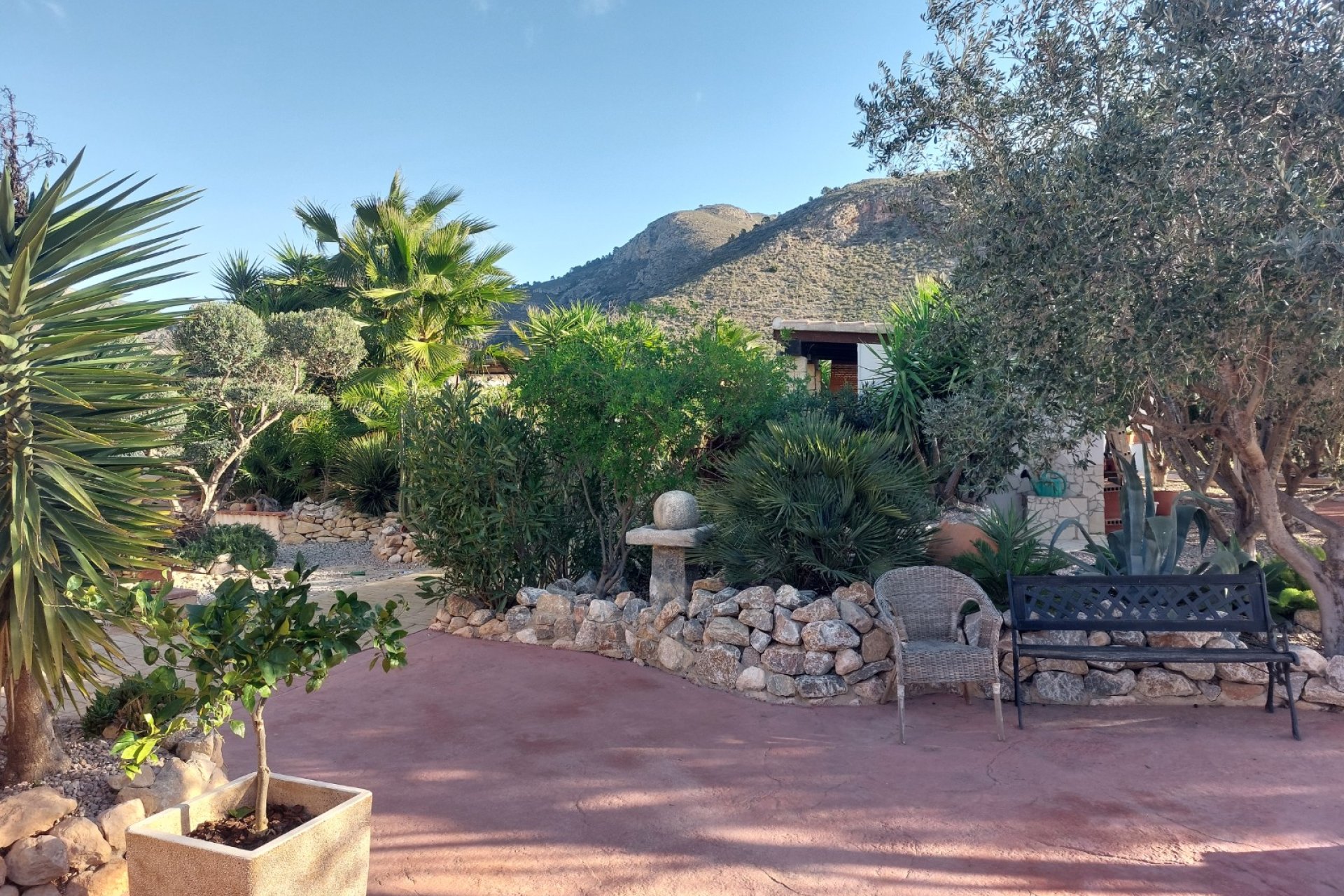 Reventa - Country house -
Barbarroja