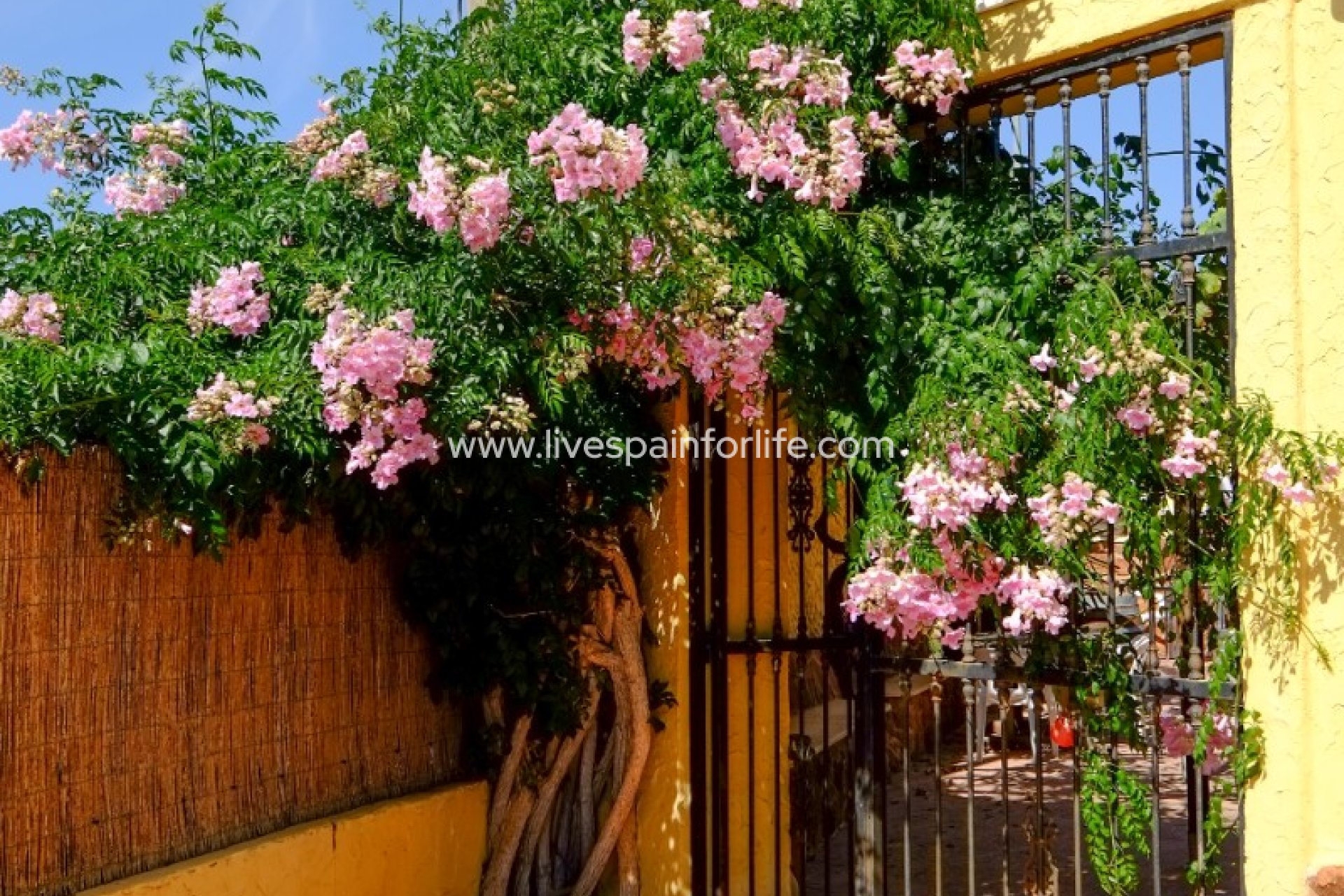 Reventa - Country house -
Barbarroja