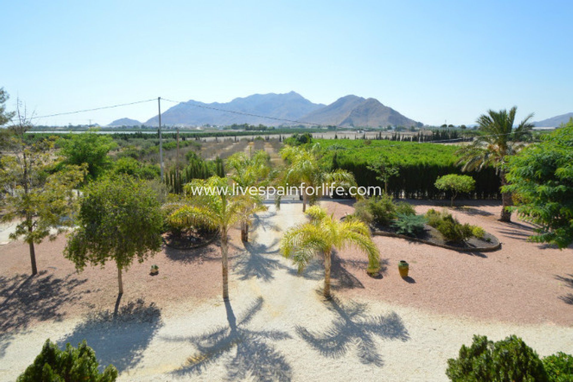 Reventa - Country house -
Callosa De Segura - Callosa de Segura