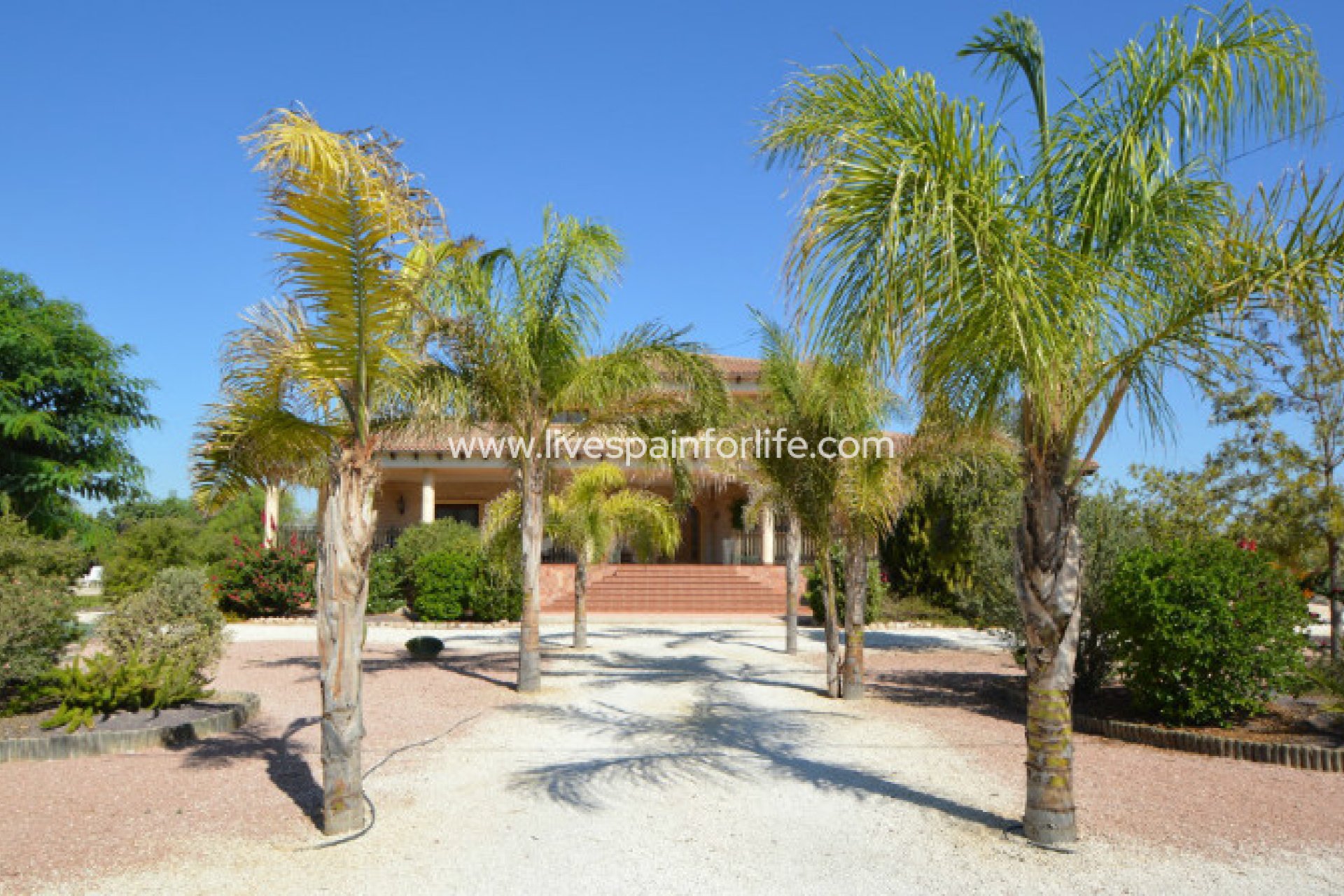 Reventa - Country house -
Callosa De Segura - Callosa de Segura