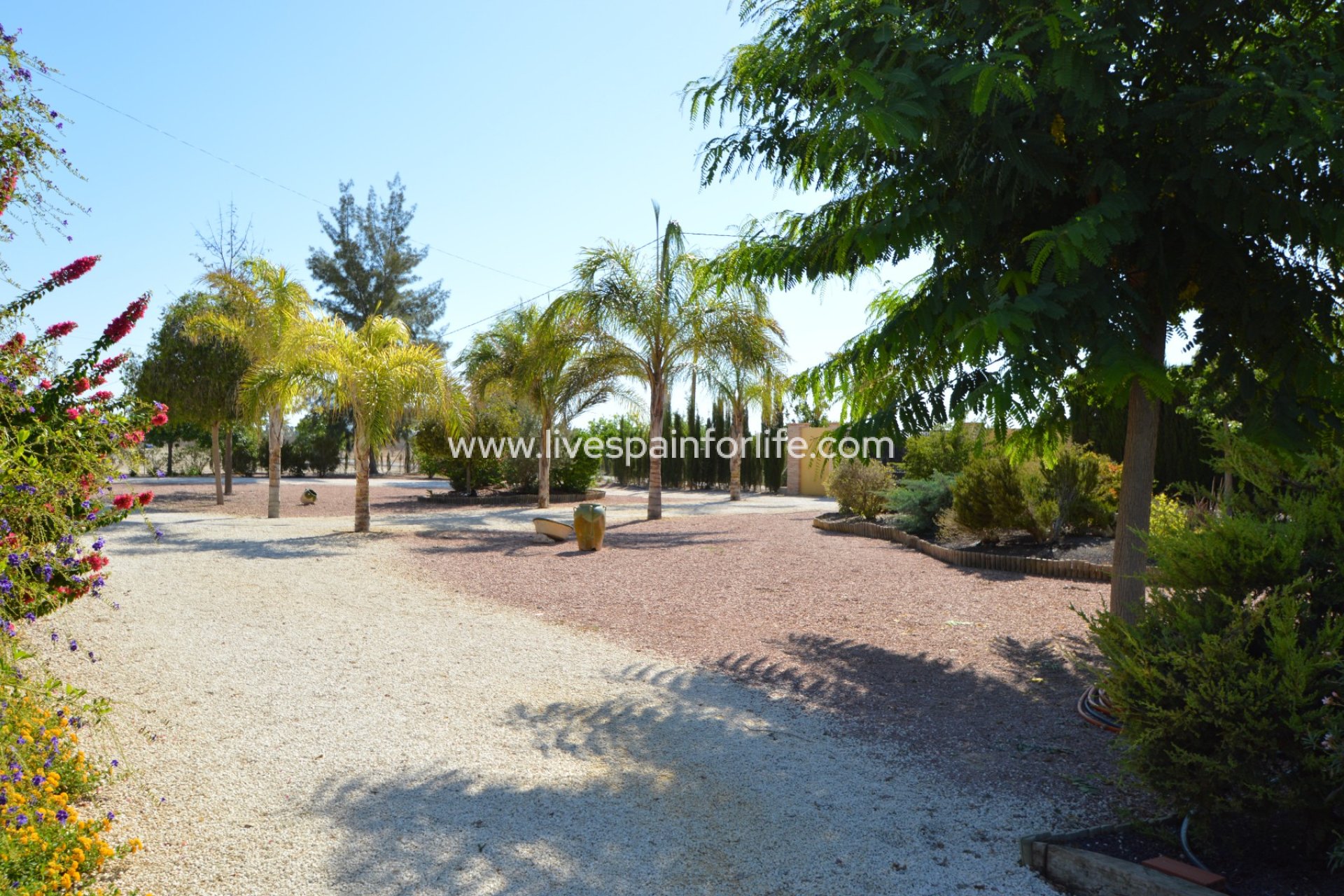 Reventa - Country house -
Callosa De Segura - Callosa de Segura